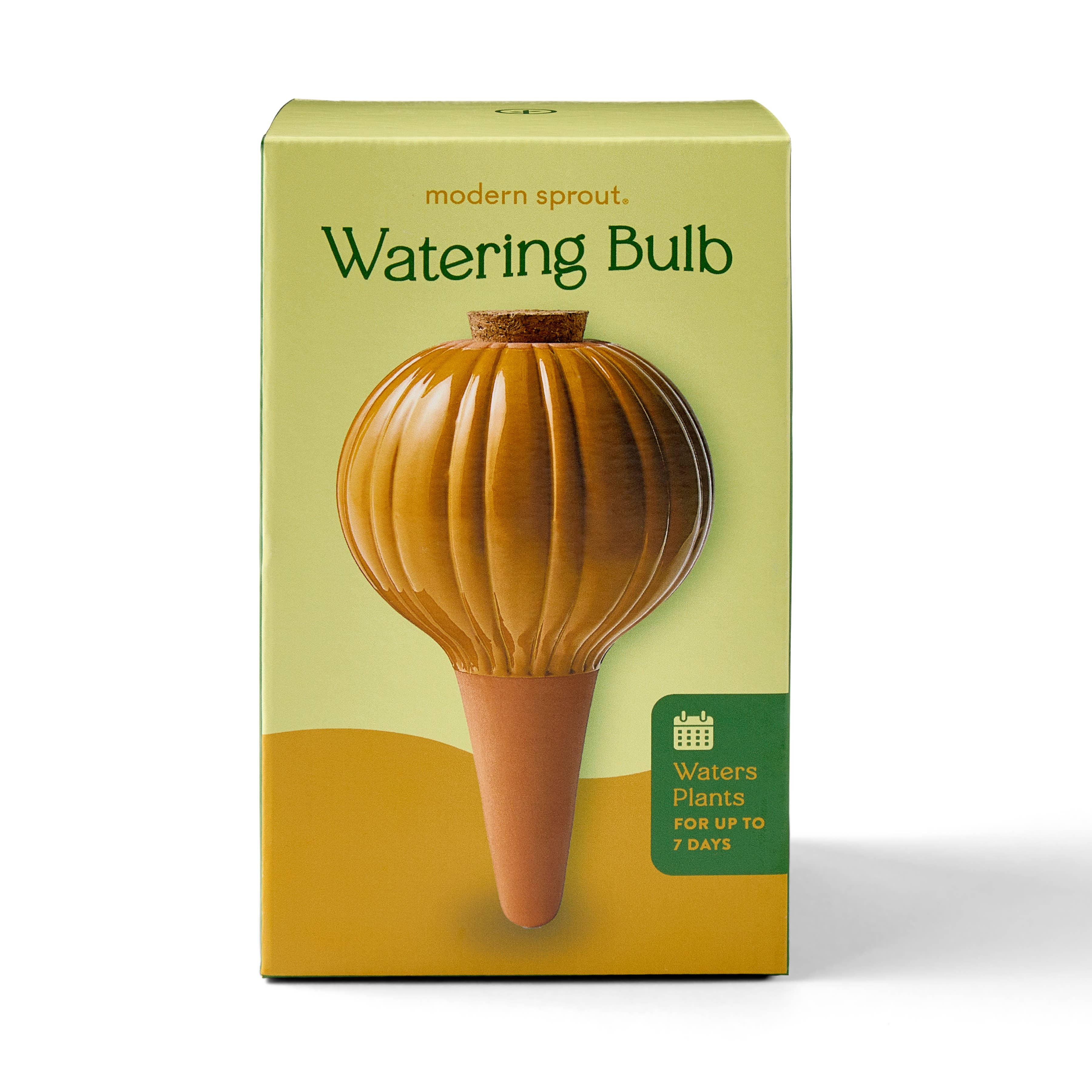 The Plant Social Terracotta Watering Bulb available in Joshua Tree at JT Trading Post