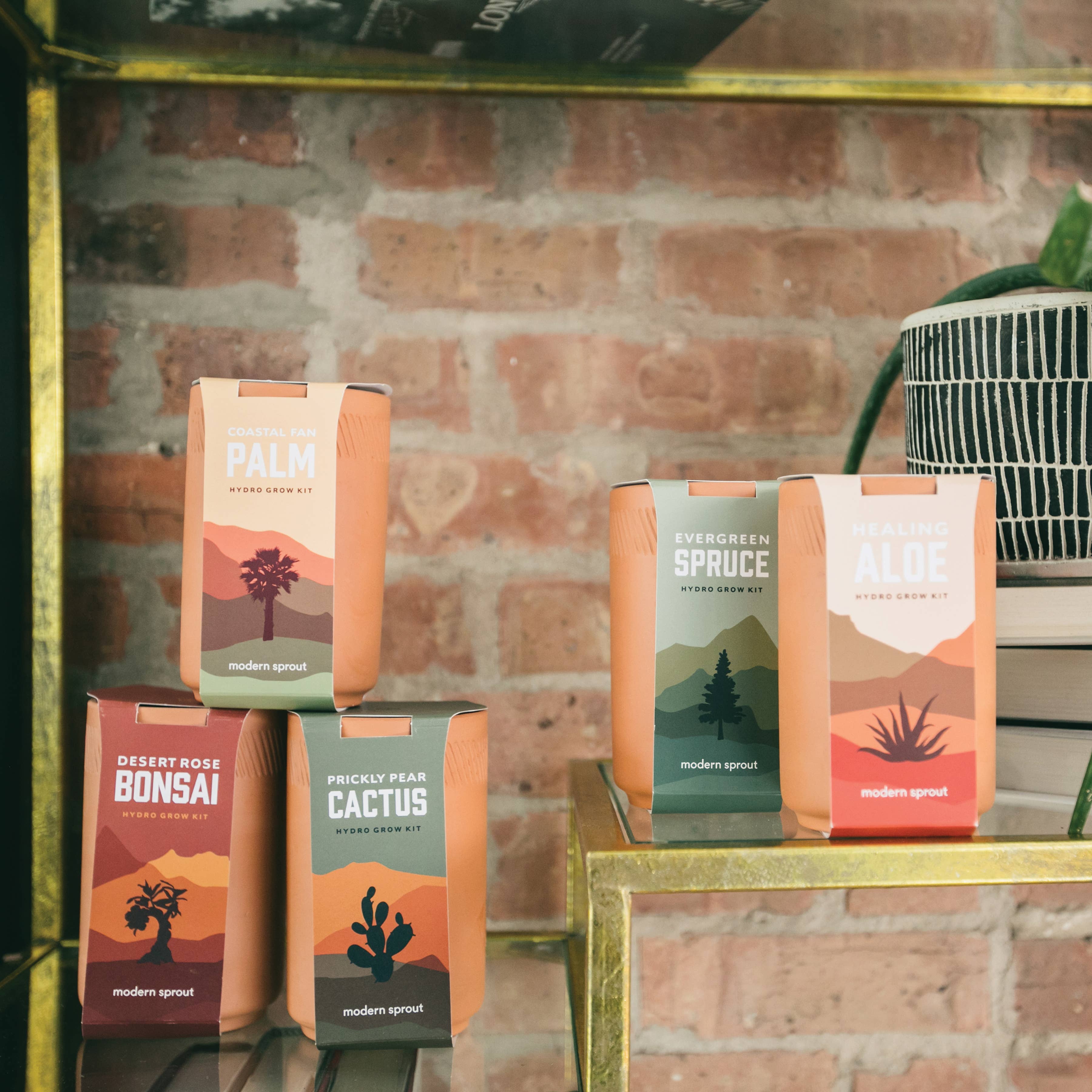 The Plant Social Terracotta Grow Kit available in Joshua Tree at JT Trading Post