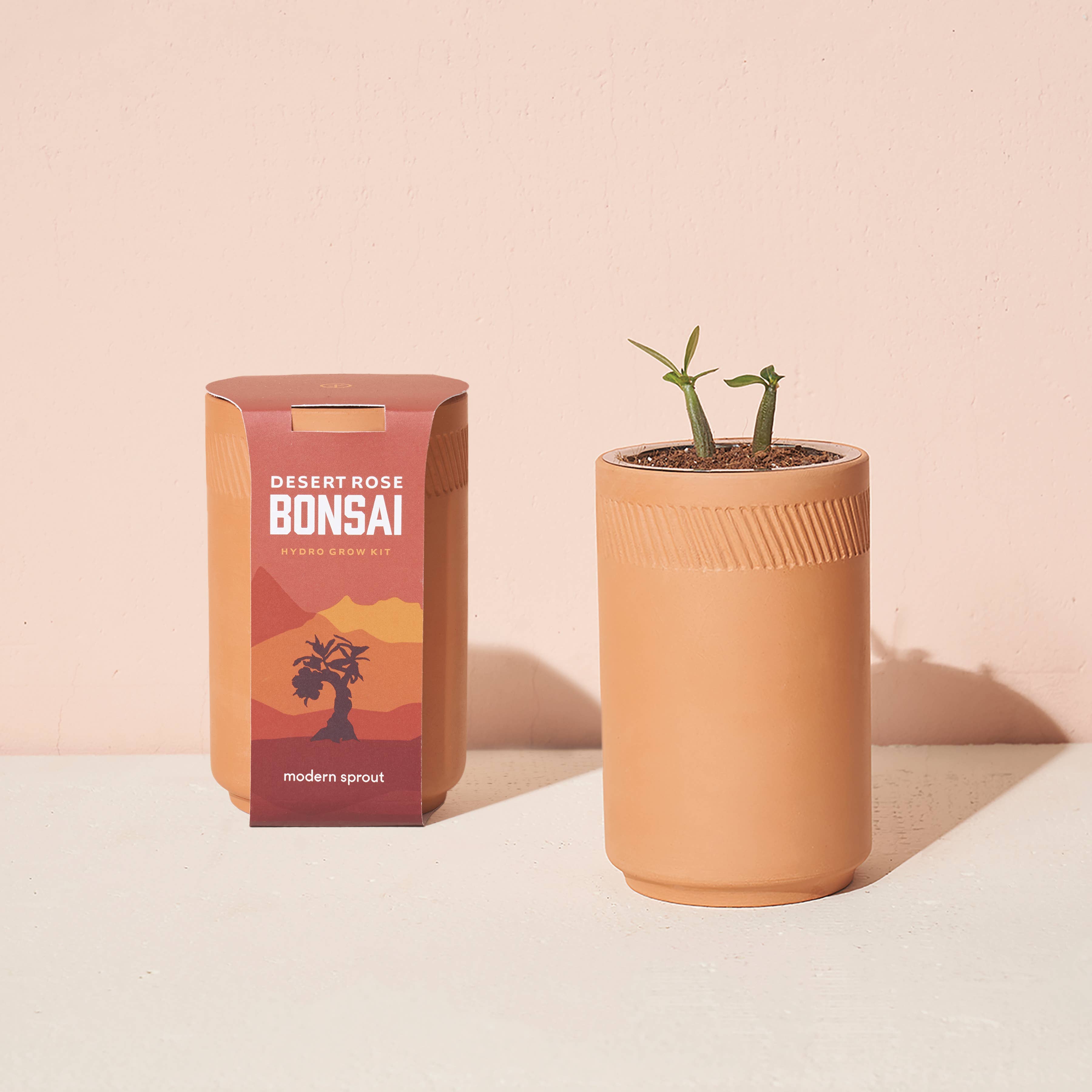 The Plant Social Terracotta Grow Kit available in Joshua Tree at JT Trading Post