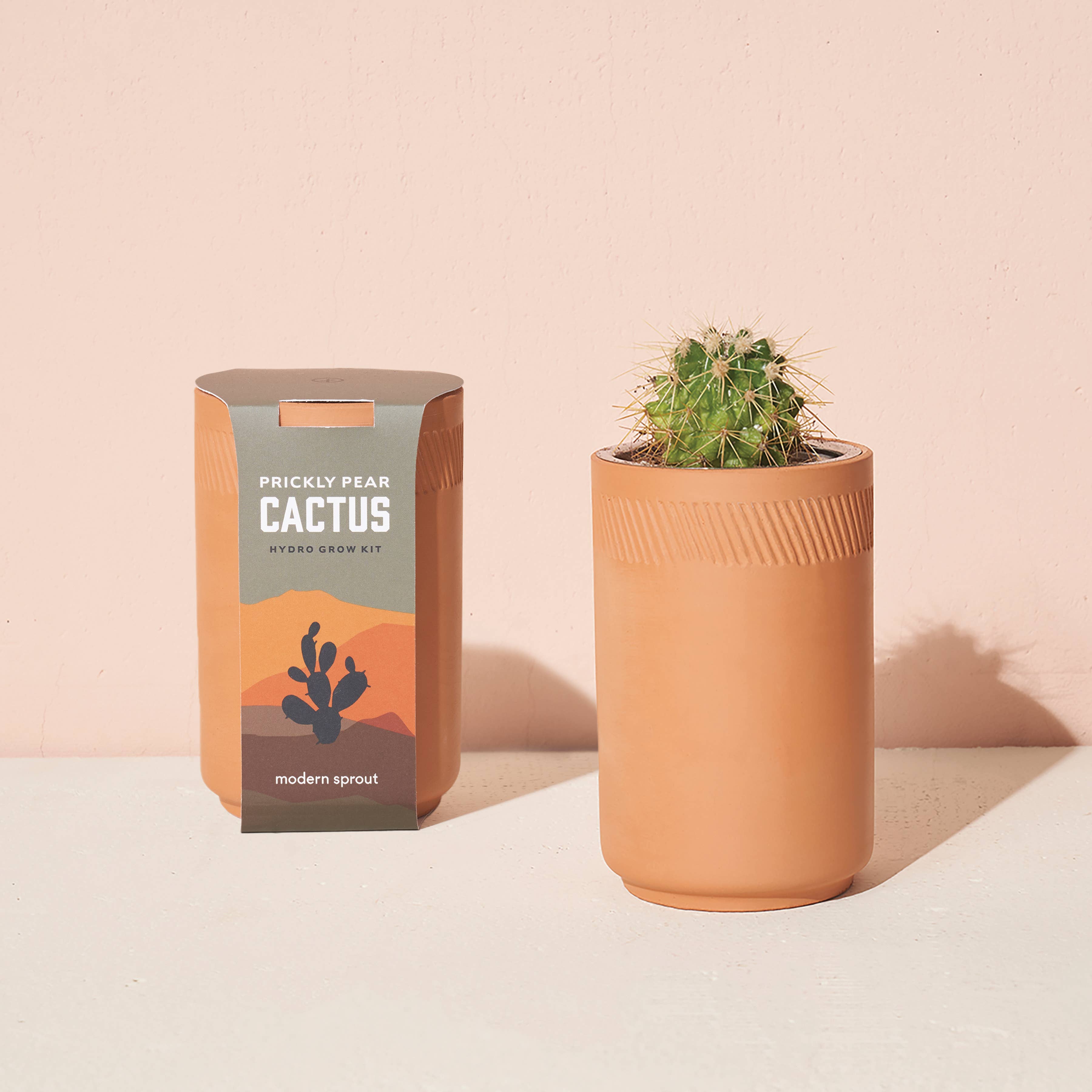 The Plant Social Terracotta Grow Kit available in Joshua Tree at JT Trading Post