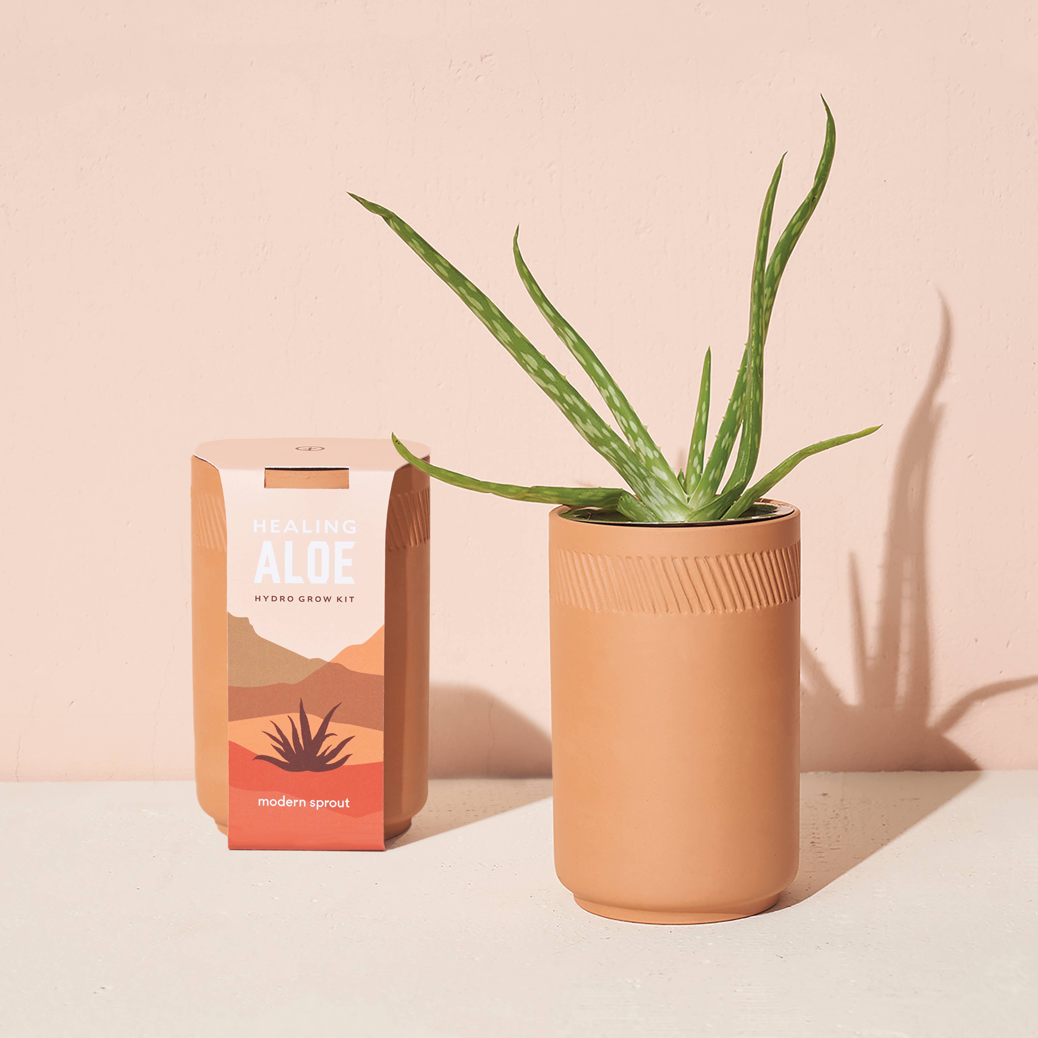 The Plant Social Terracotta Grow Kit available in Joshua Tree at JT Trading Post