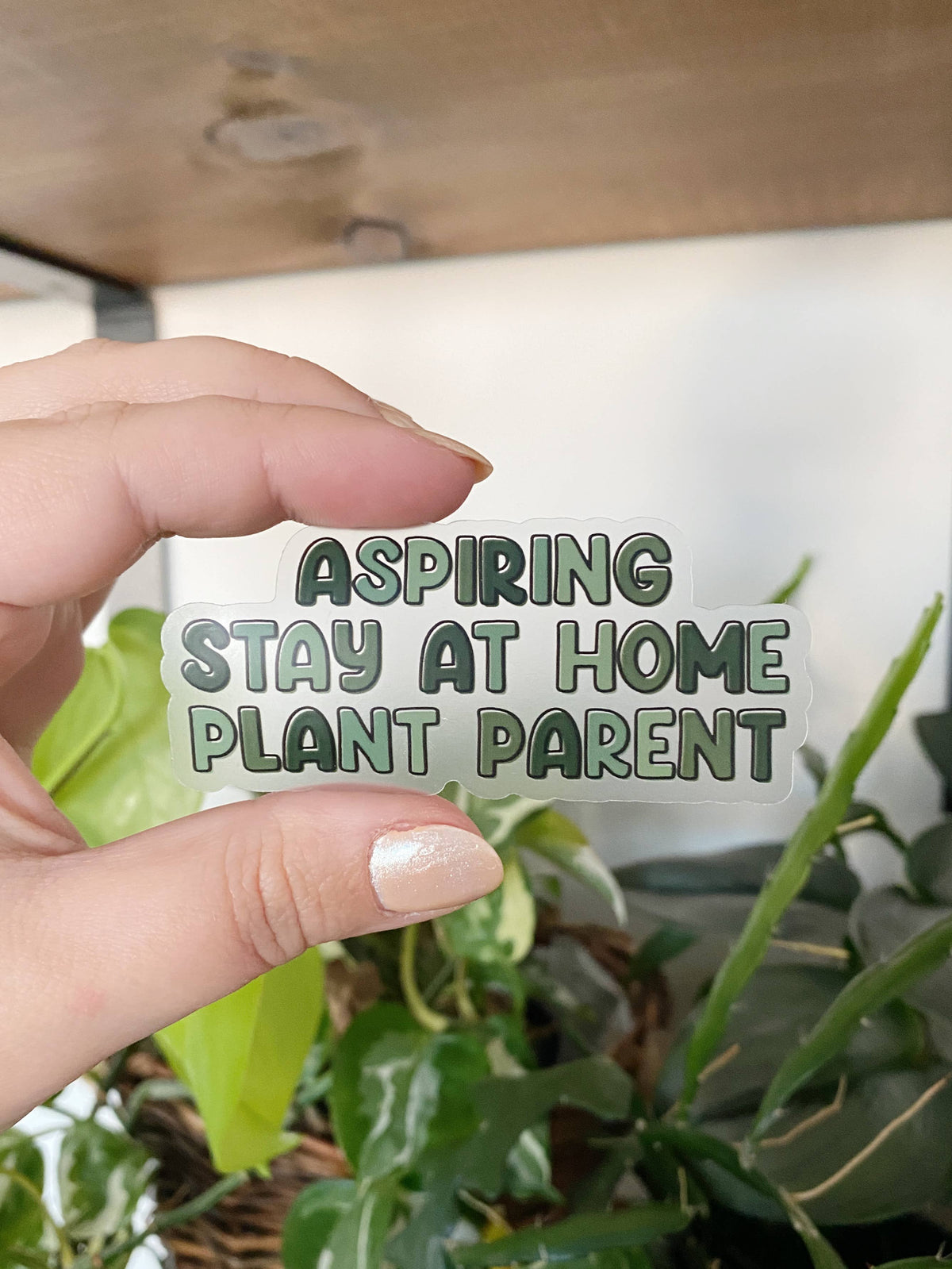 The Plant Social Clear Stickers available in Joshua Tree at JT Trading Post