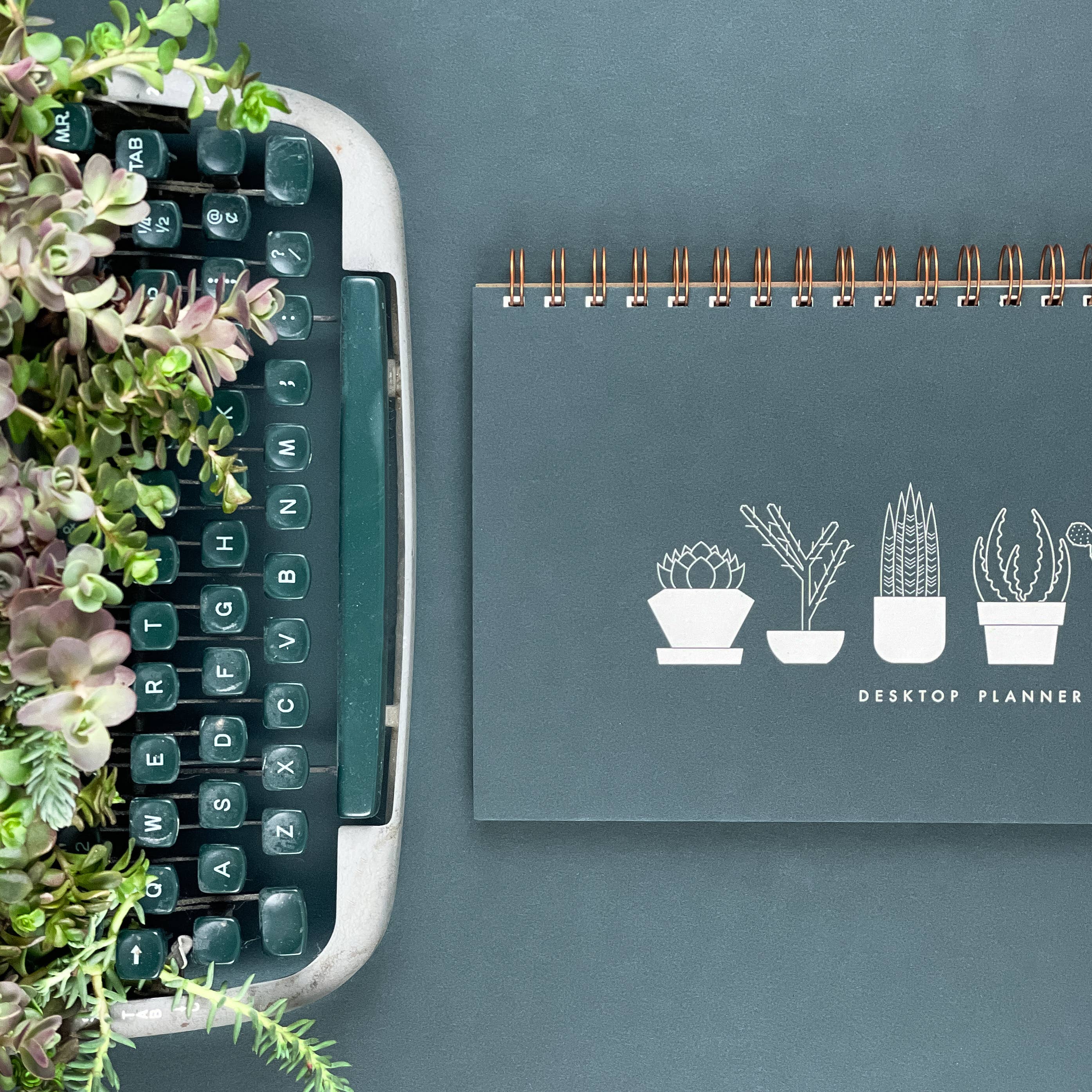 The Plant Social Succulent Undated Weekly Planner available in Joshua Tree at JT Trading Post