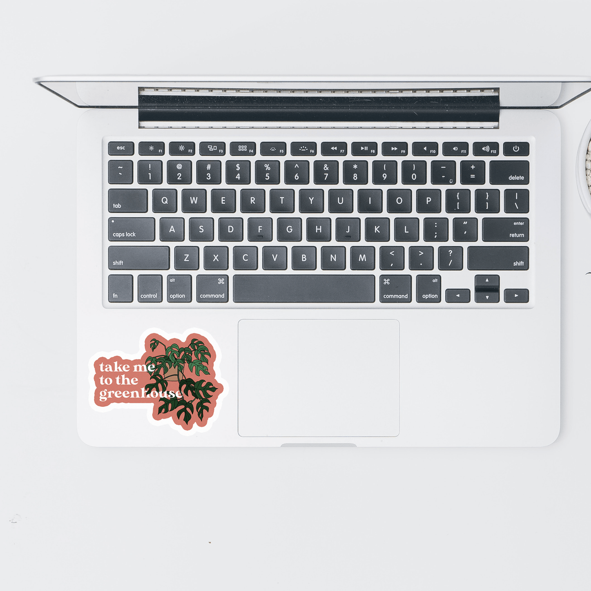 The Plant Social Solid Stickers available in Joshua Tree at JT Trading Post