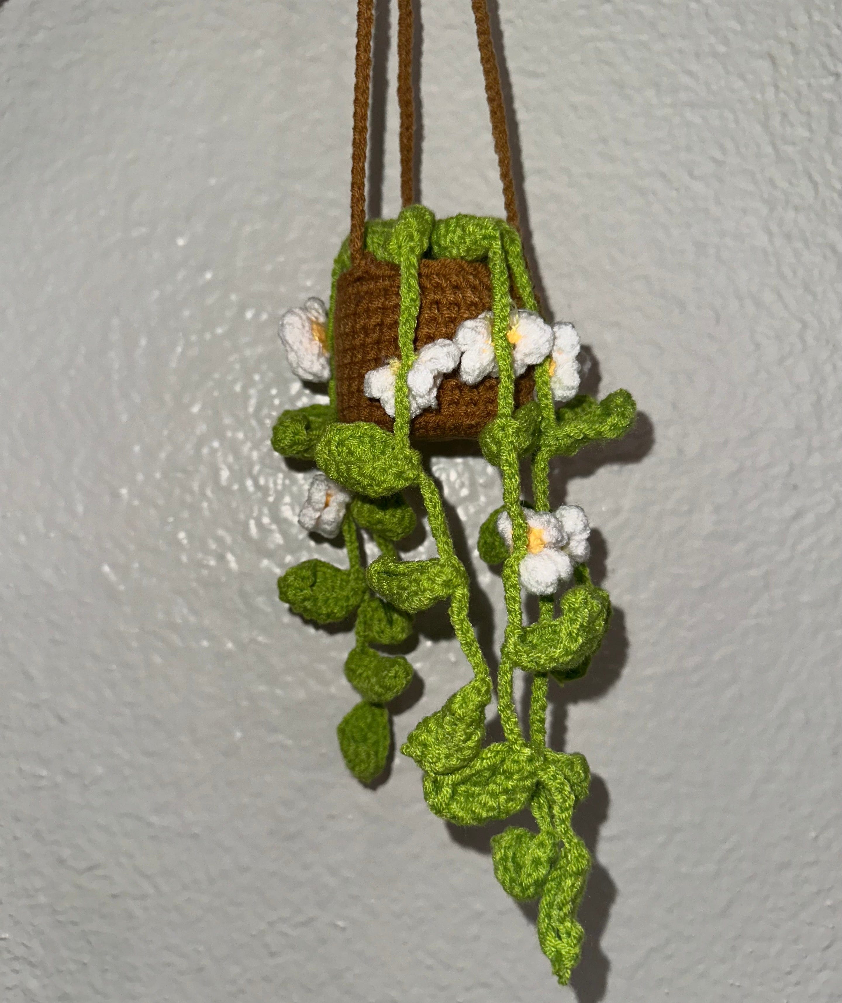 The Plant Social Crochet Hanging Plants available in Joshua Tree at JT Trading Post