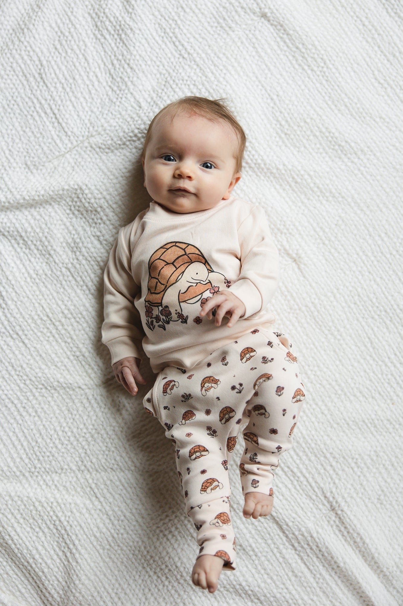 JTTP Products Organic Sweatshirt & Jogger Set, Tiny Tortise