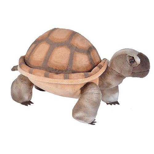 JTTP Products Desert Tortoise Stuffed Animal