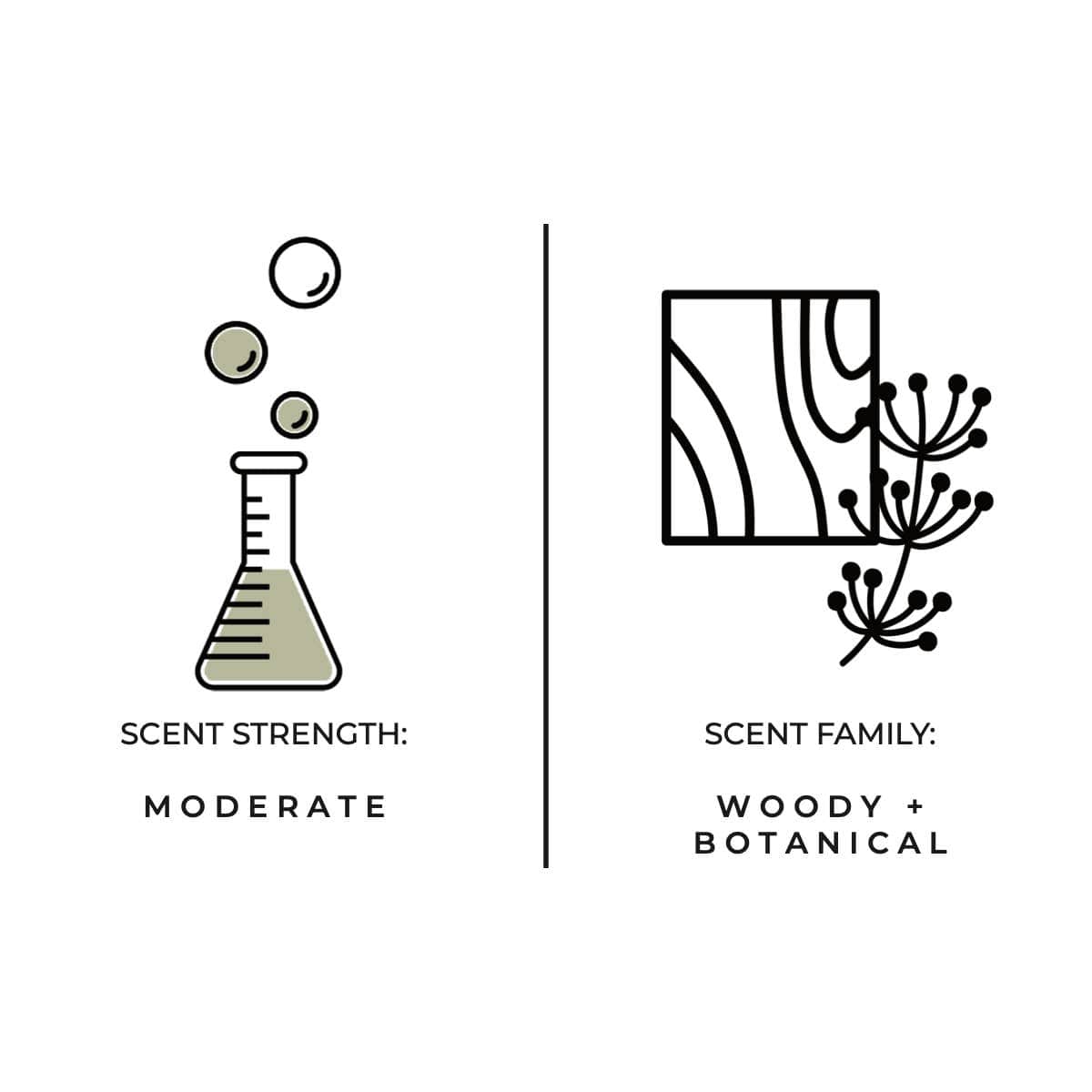JTTP Products Santal Reed Diffuser