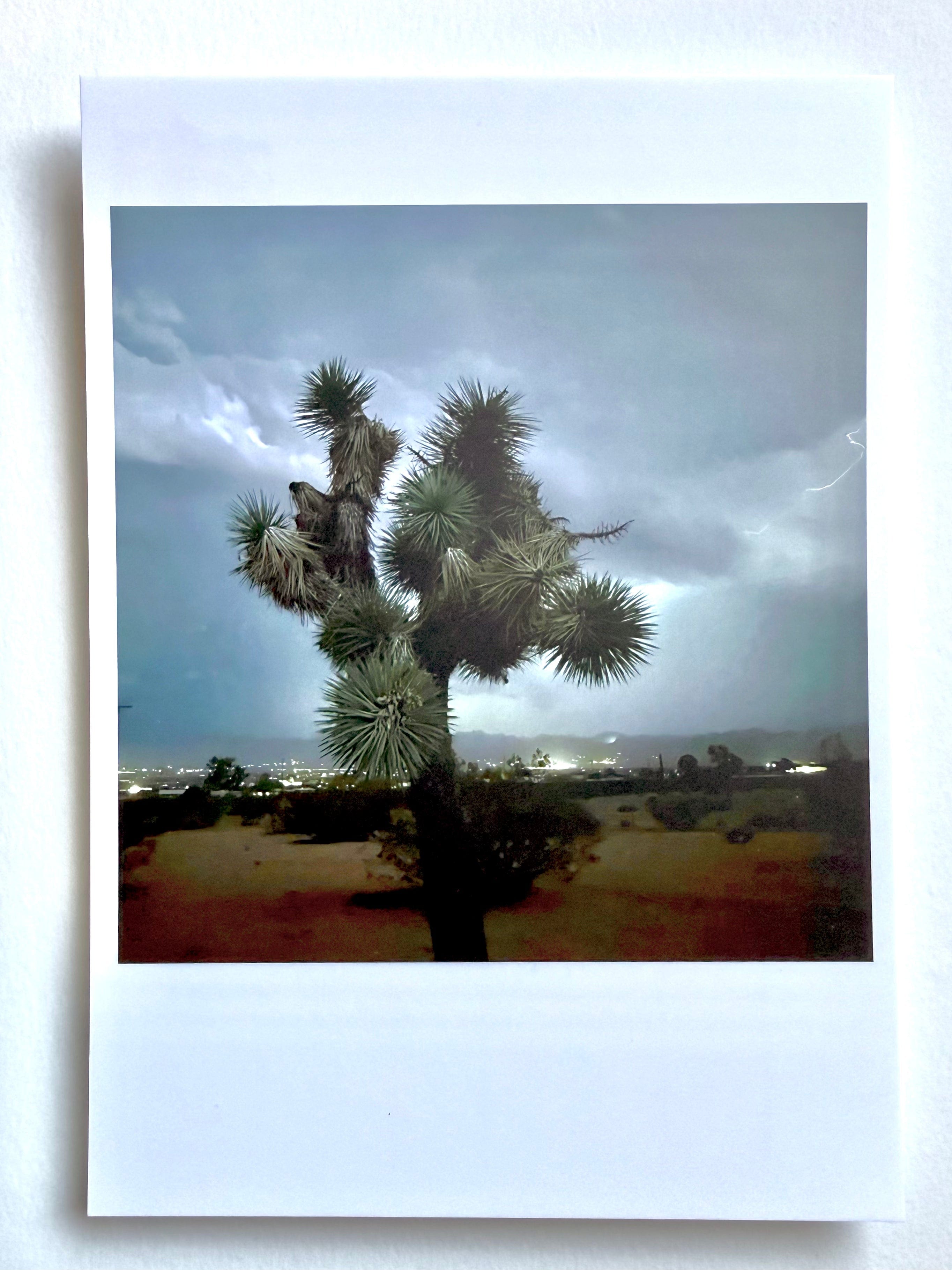 kreaturetown Postcard Photo:  Lightning Storm Joshua Tree