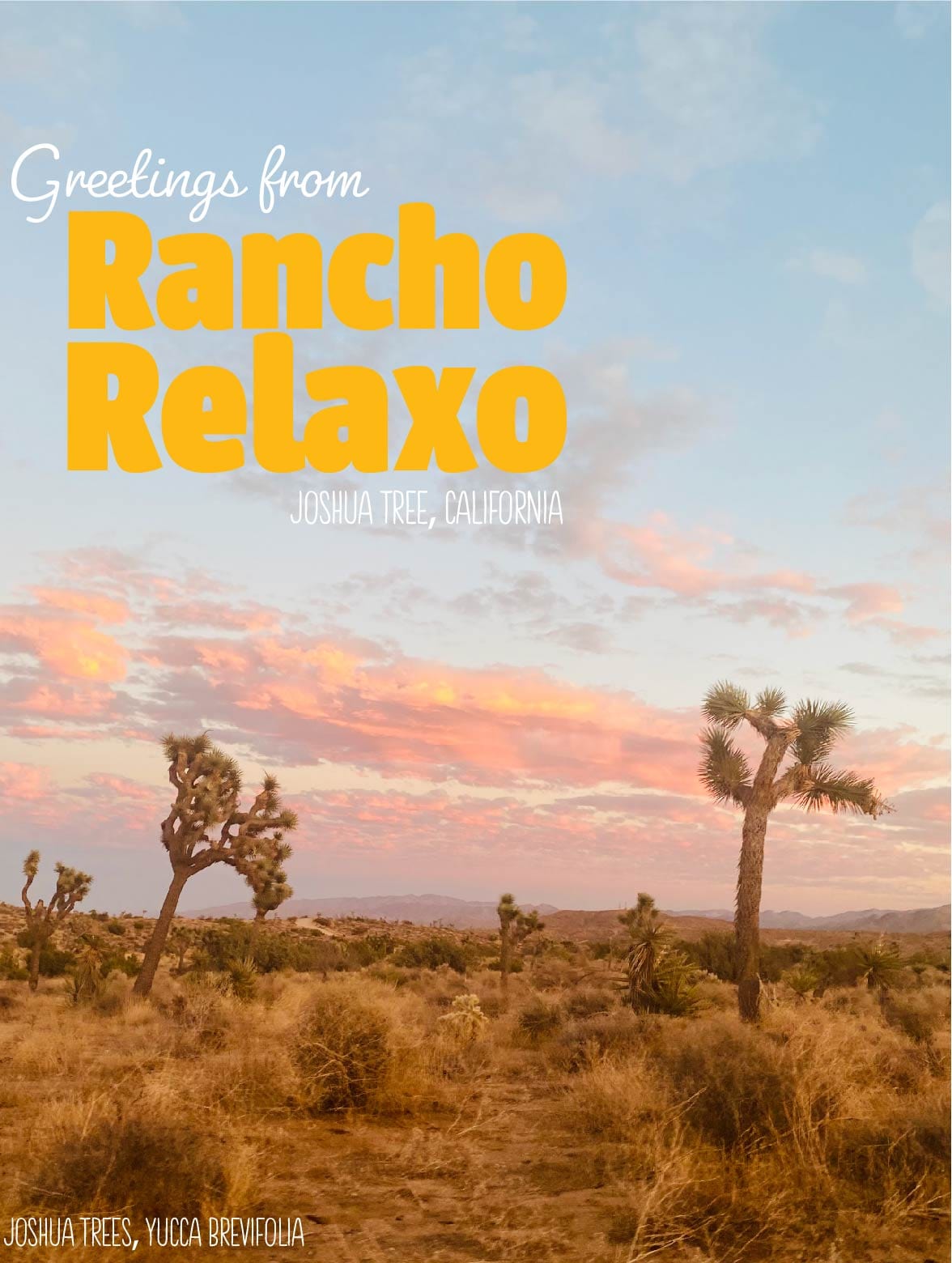Rancho Relaxo Palm Springs I Love You Postcards