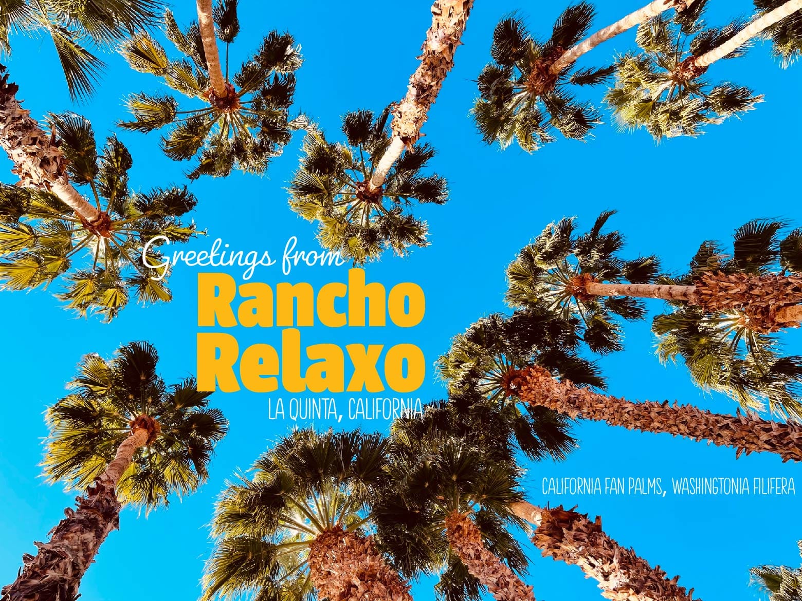 Rancho Relaxo Palm Springs I Love You Postcards