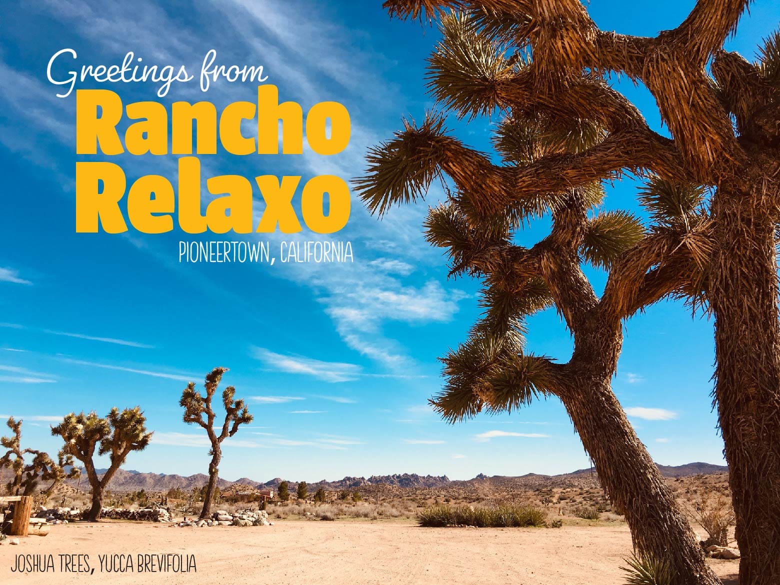 Rancho Relaxo Palm Springs I Love You Postcards