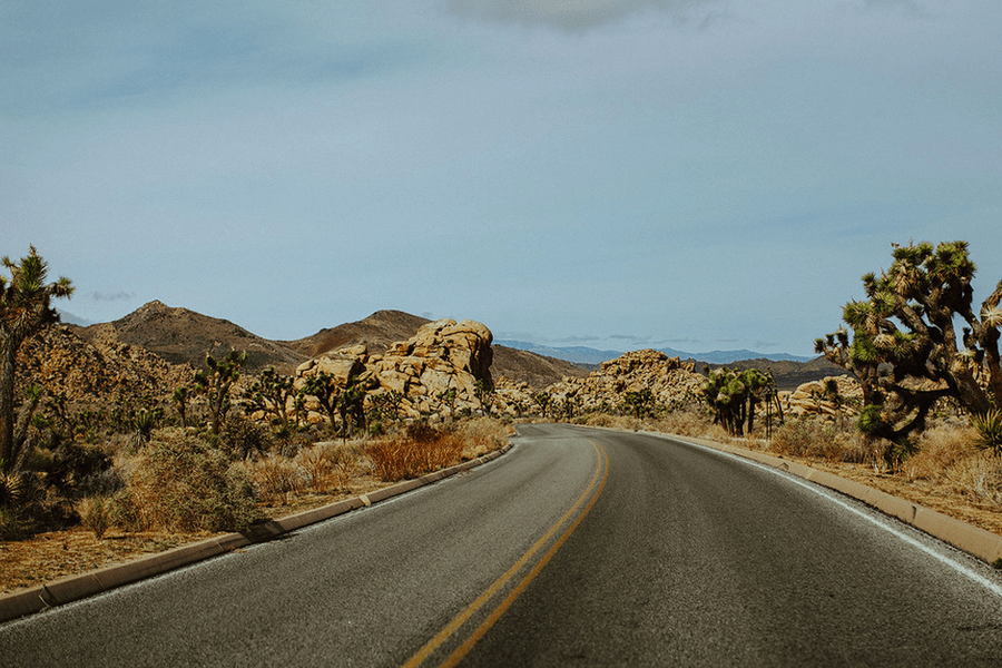 Roaming Travelers Wildsam Guide: Desert Southwest