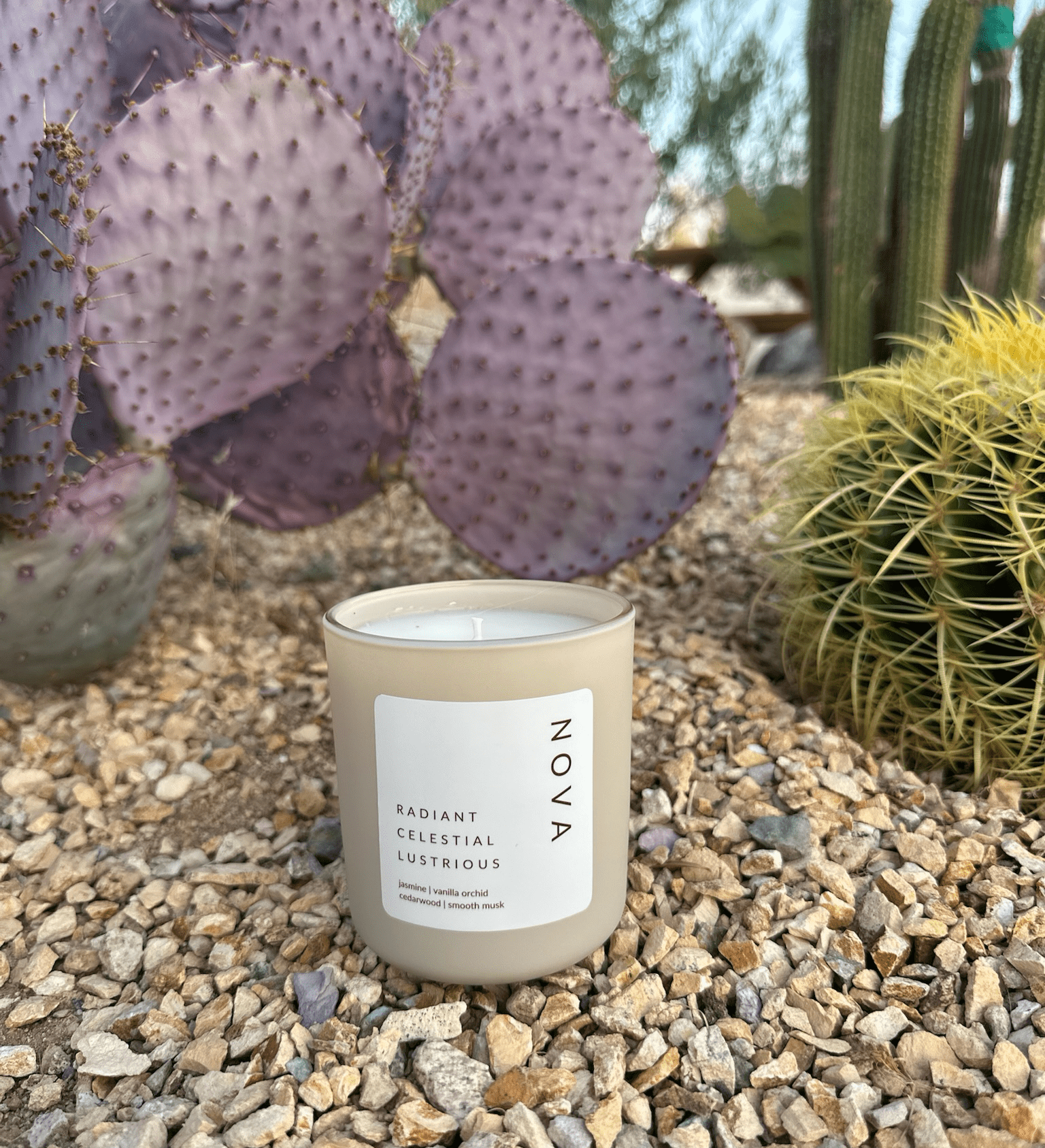 Stay With Terra Stay with Terra Candles available in Joshua Tree at JT Trading Post