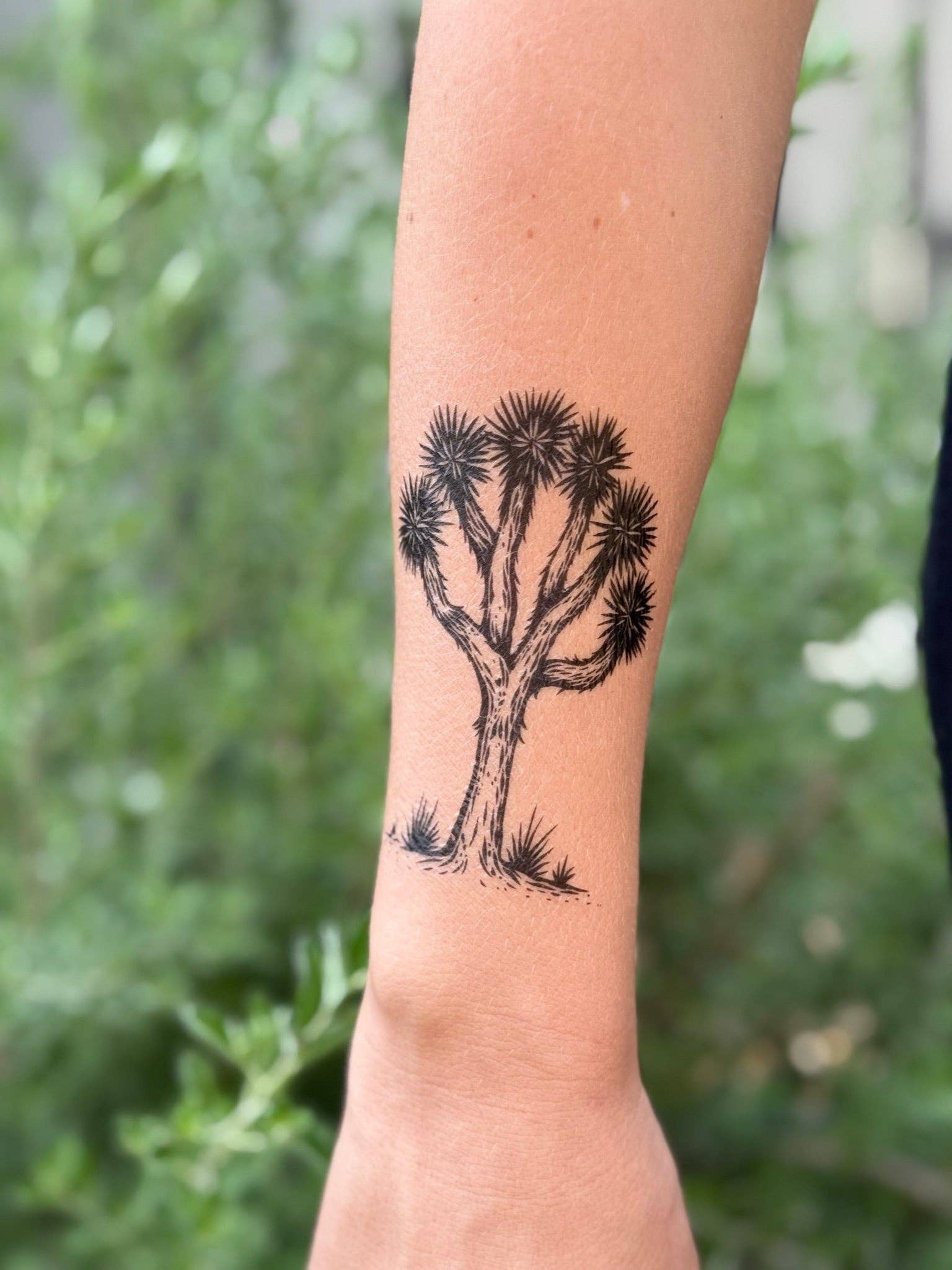 The Plant Social Joshua Tree Temporary Tattoo available in Joshua Tree at JT Trading Post