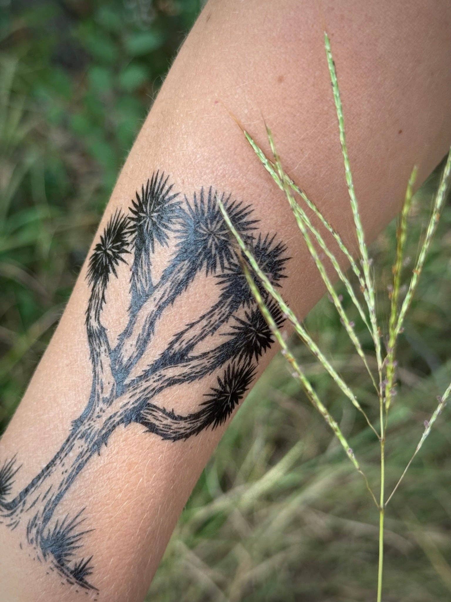 The Plant Social Joshua Tree Temporary Tattoo available in Joshua Tree at JT Trading Post
