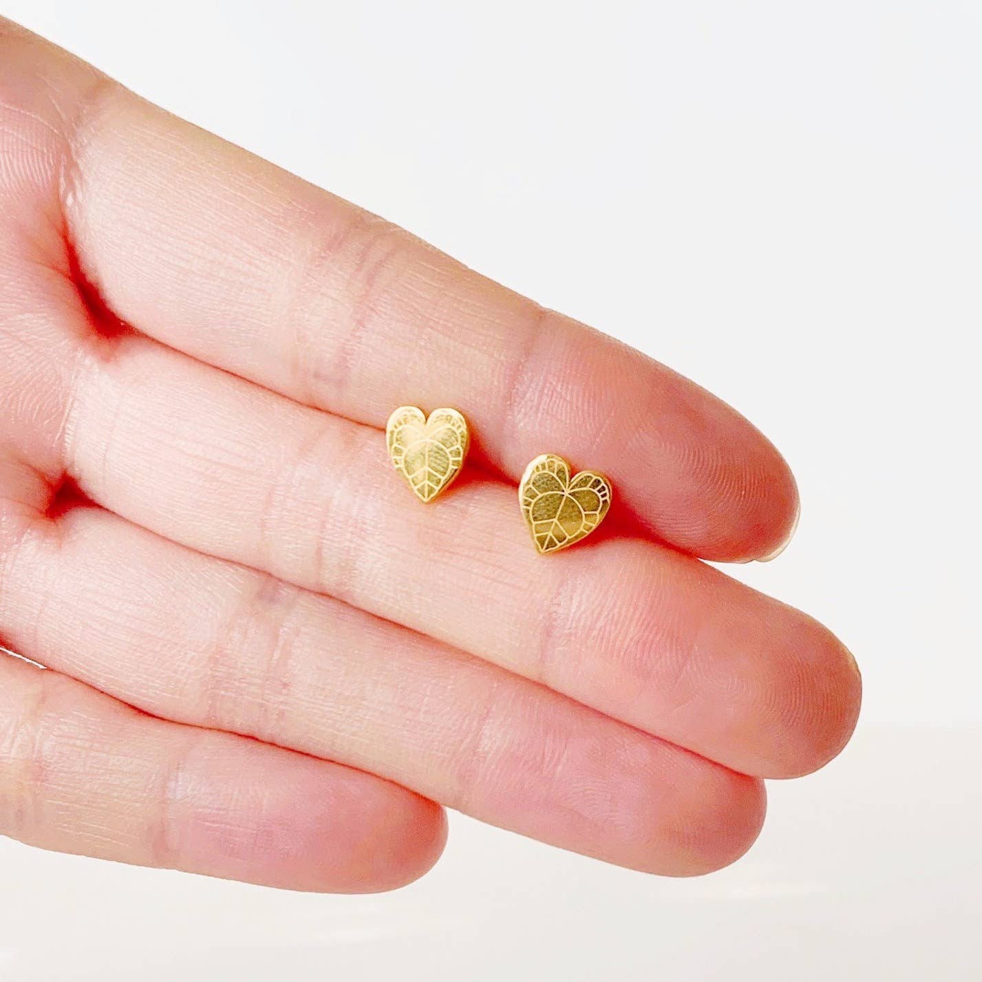 The Plant Social Anthurium Clarinervium Plant Studs | Hypoallergenic