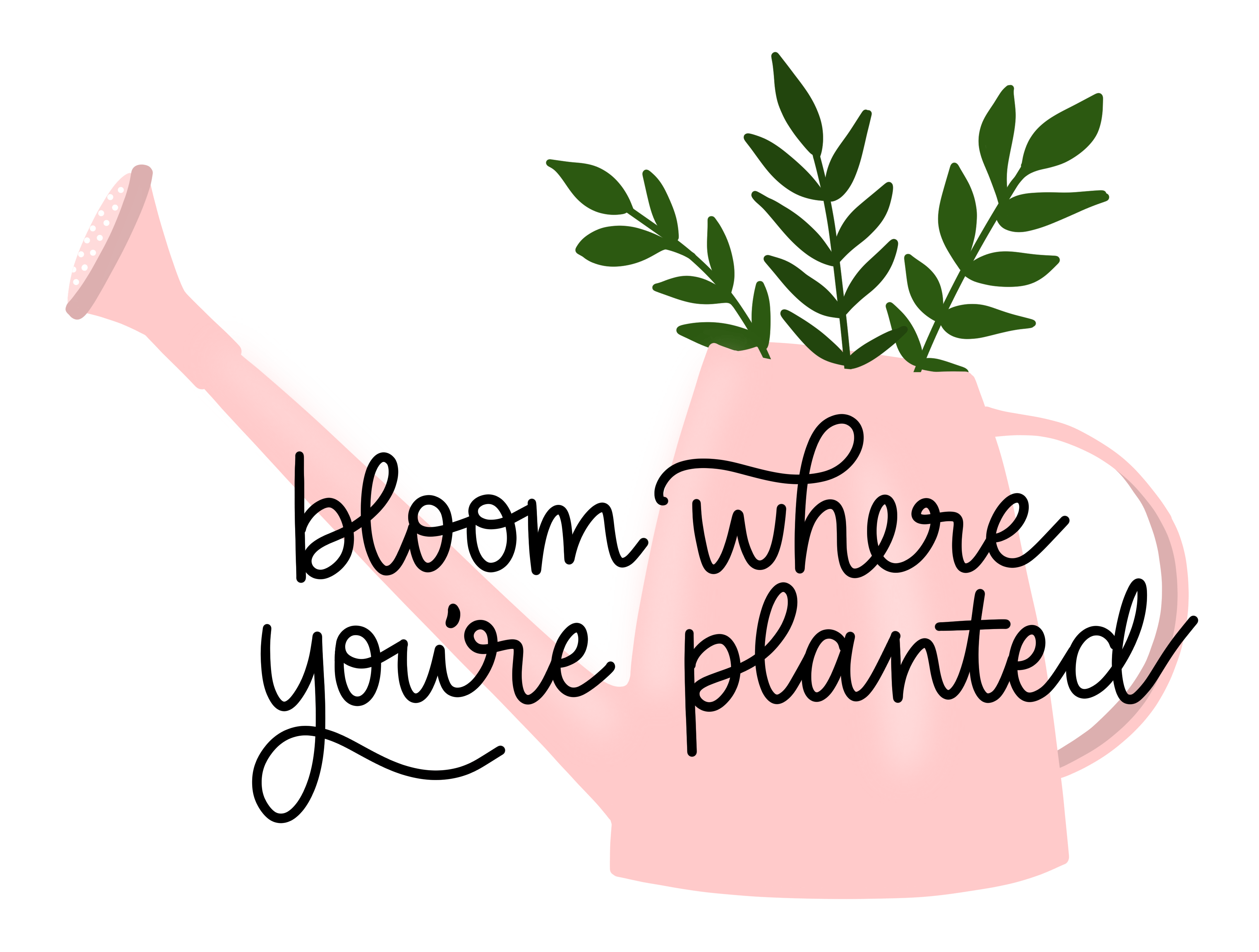 The Plant Social Bloom Where You're Planted Watering Can Sticker available in Joshua Tree at JT Trading Post