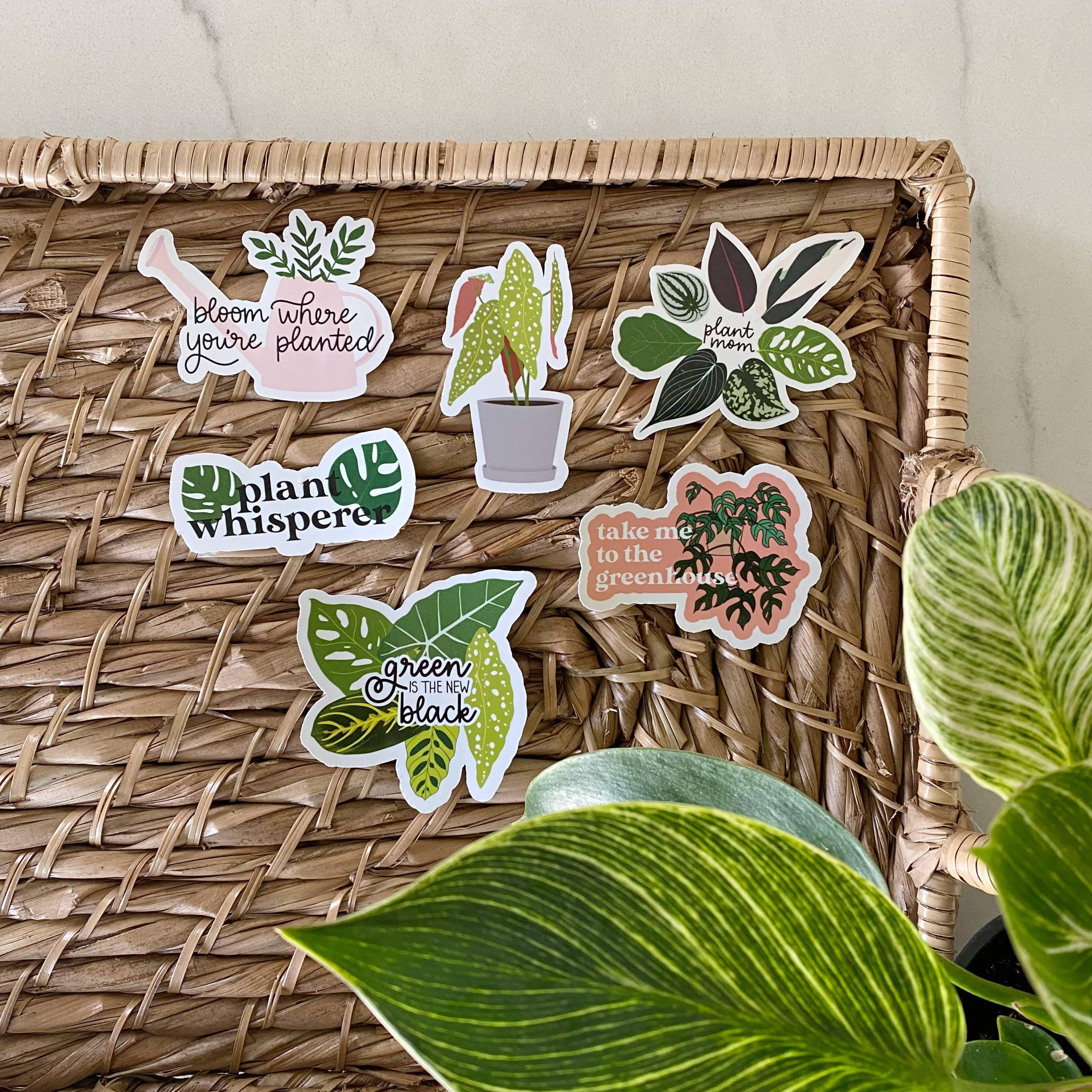 The Plant Social Bloom Where You're Planted Watering Can Sticker available in Joshua Tree at JT Trading Post