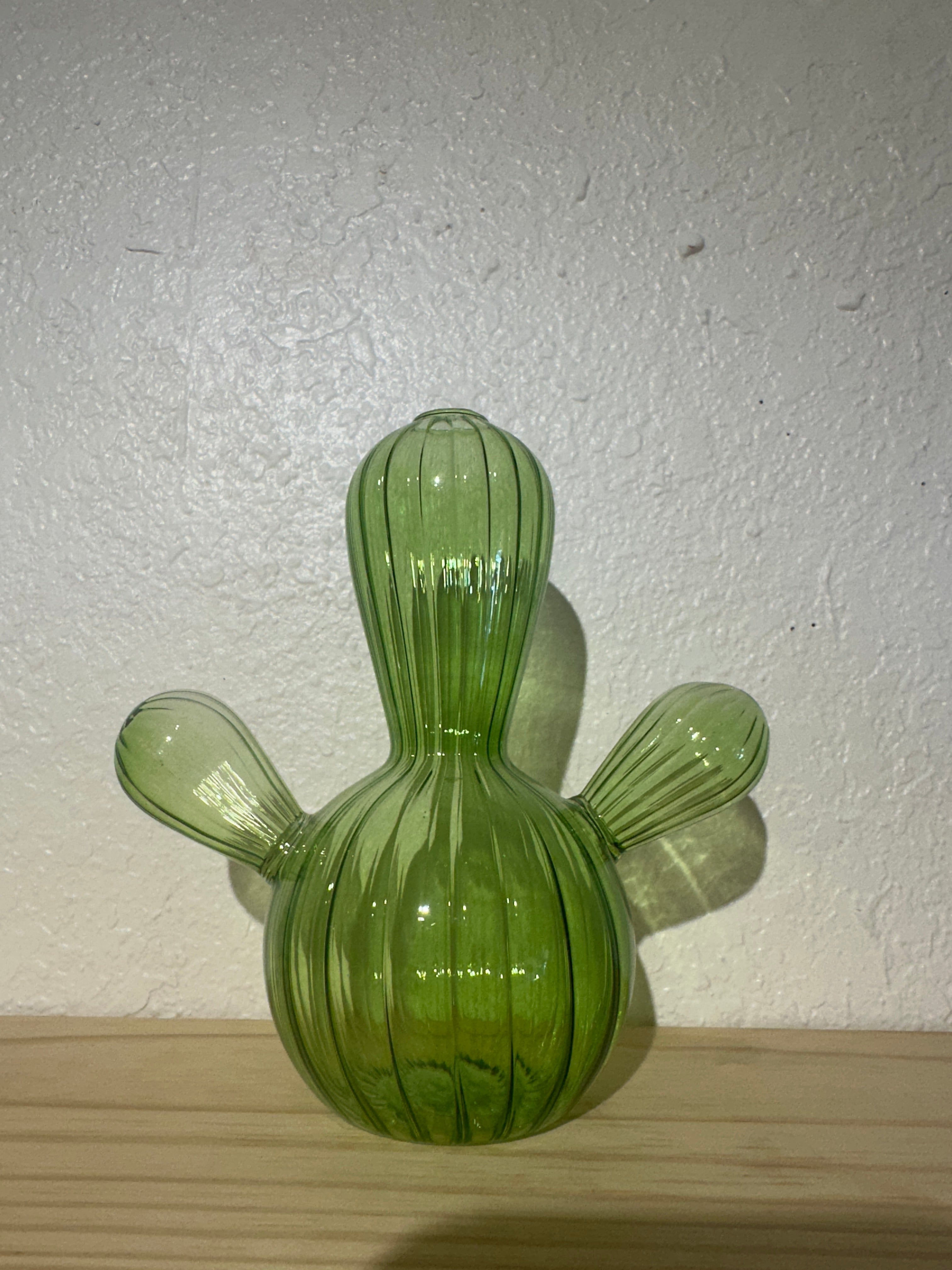 The Plant Social Cactus Propagation Vases available in Joshua Tree at JT Trading Post