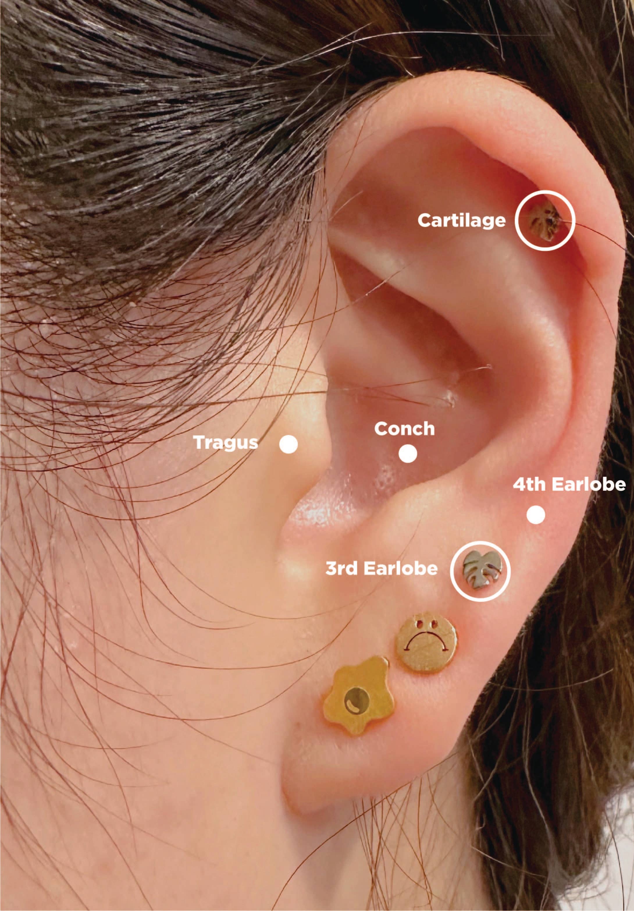 The Plant Social Flat Back Teeny Tiny Monstera Deliciosa Plant Studs