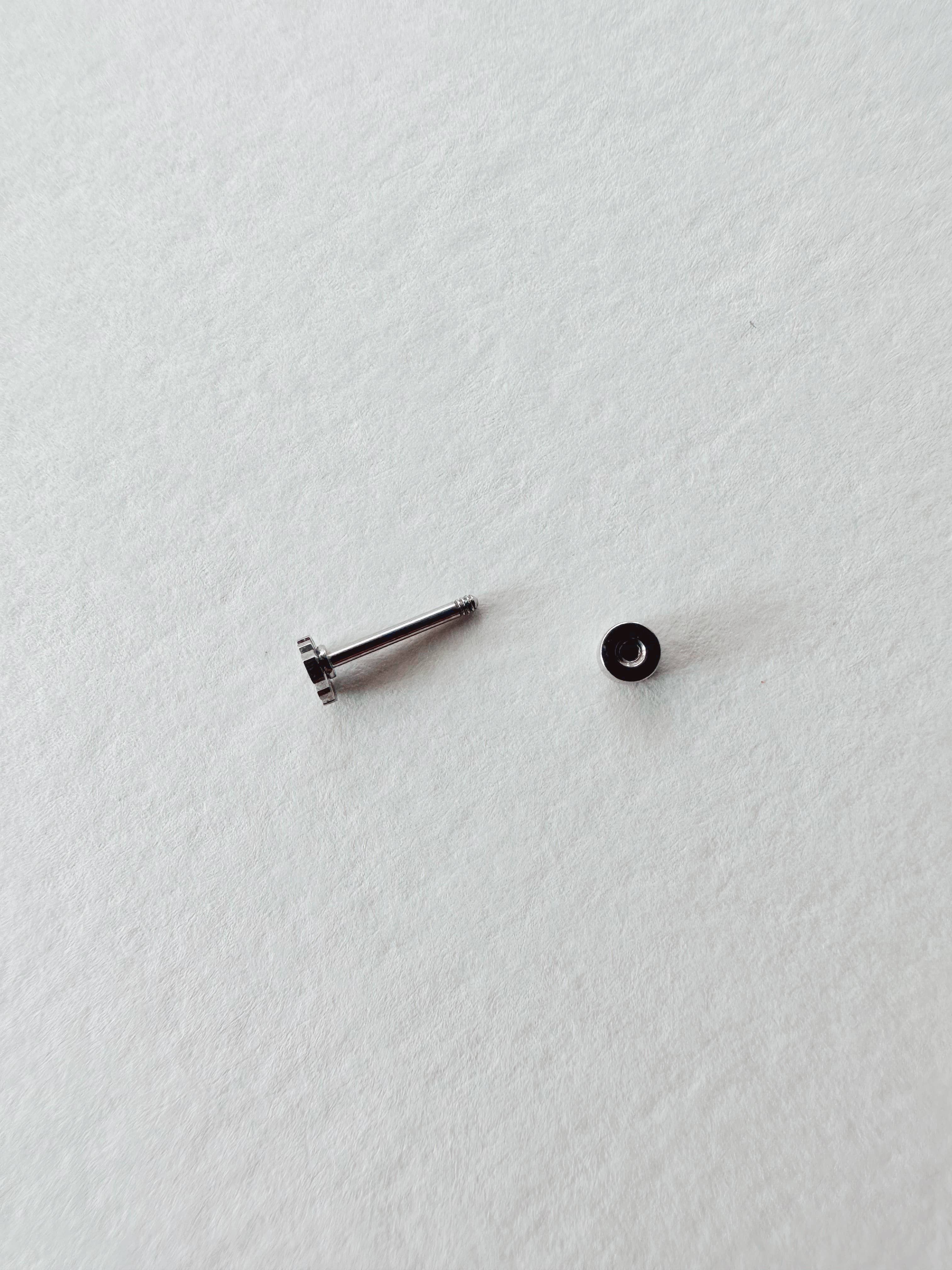 The Plant Social Flat Back Teeny Tiny Monstera Deliciosa Plant Studs available in Joshua Tree at JT Trading Post