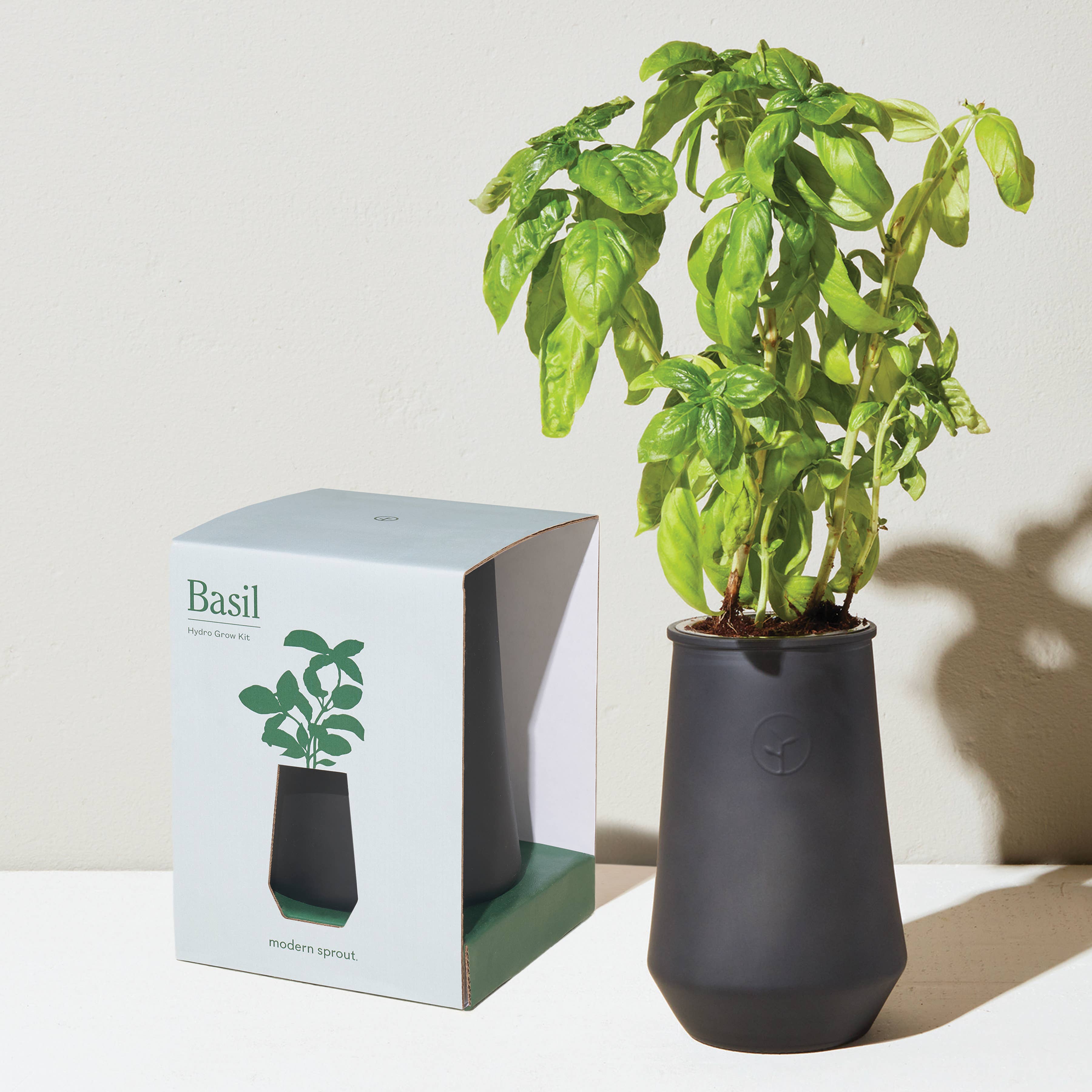 The Plant Social Tapered Tumbler Grow Kit available in Joshua Tree at JT Trading Post