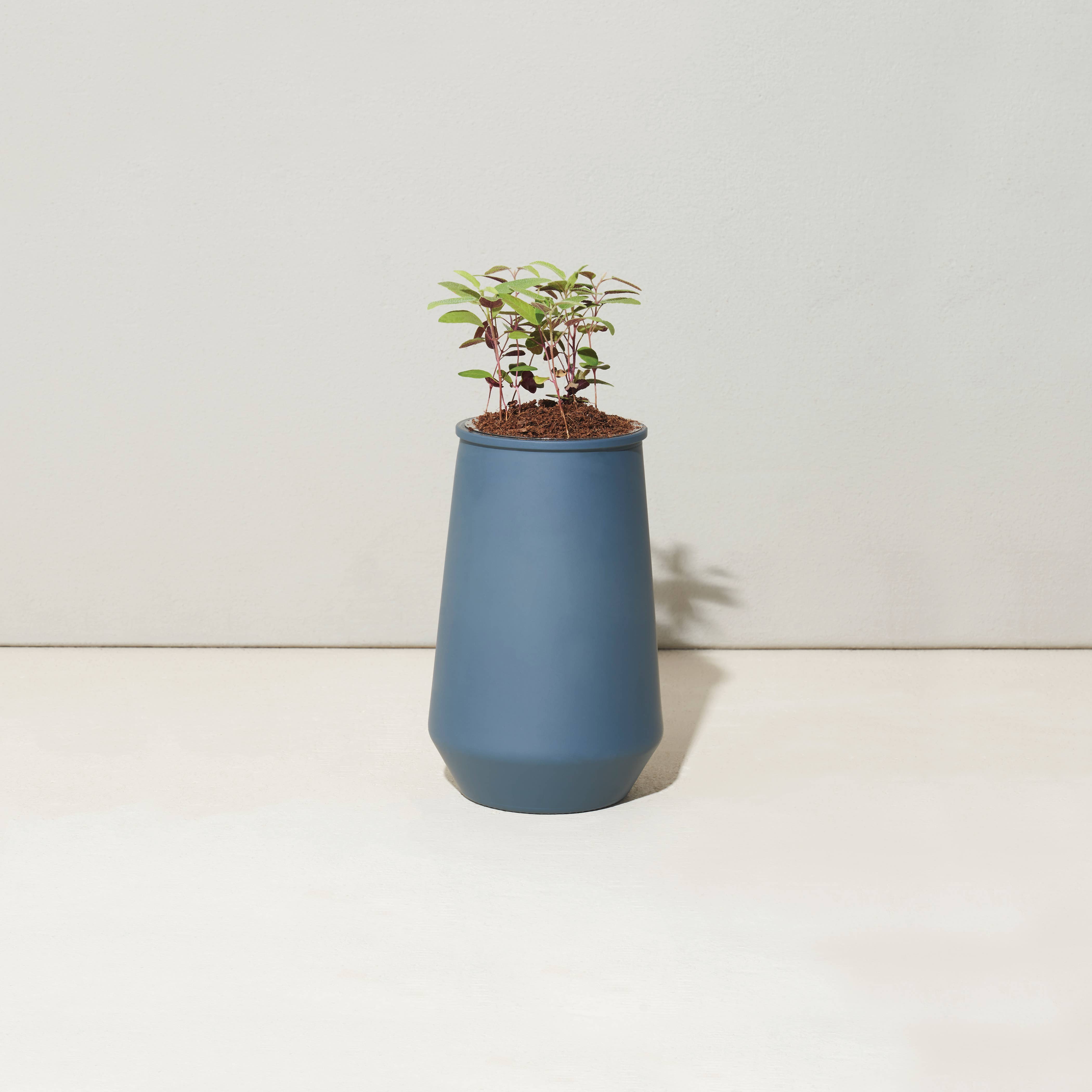 The Plant Social Tapered Tumbler Grow Kit available in Joshua Tree at JT Trading Post