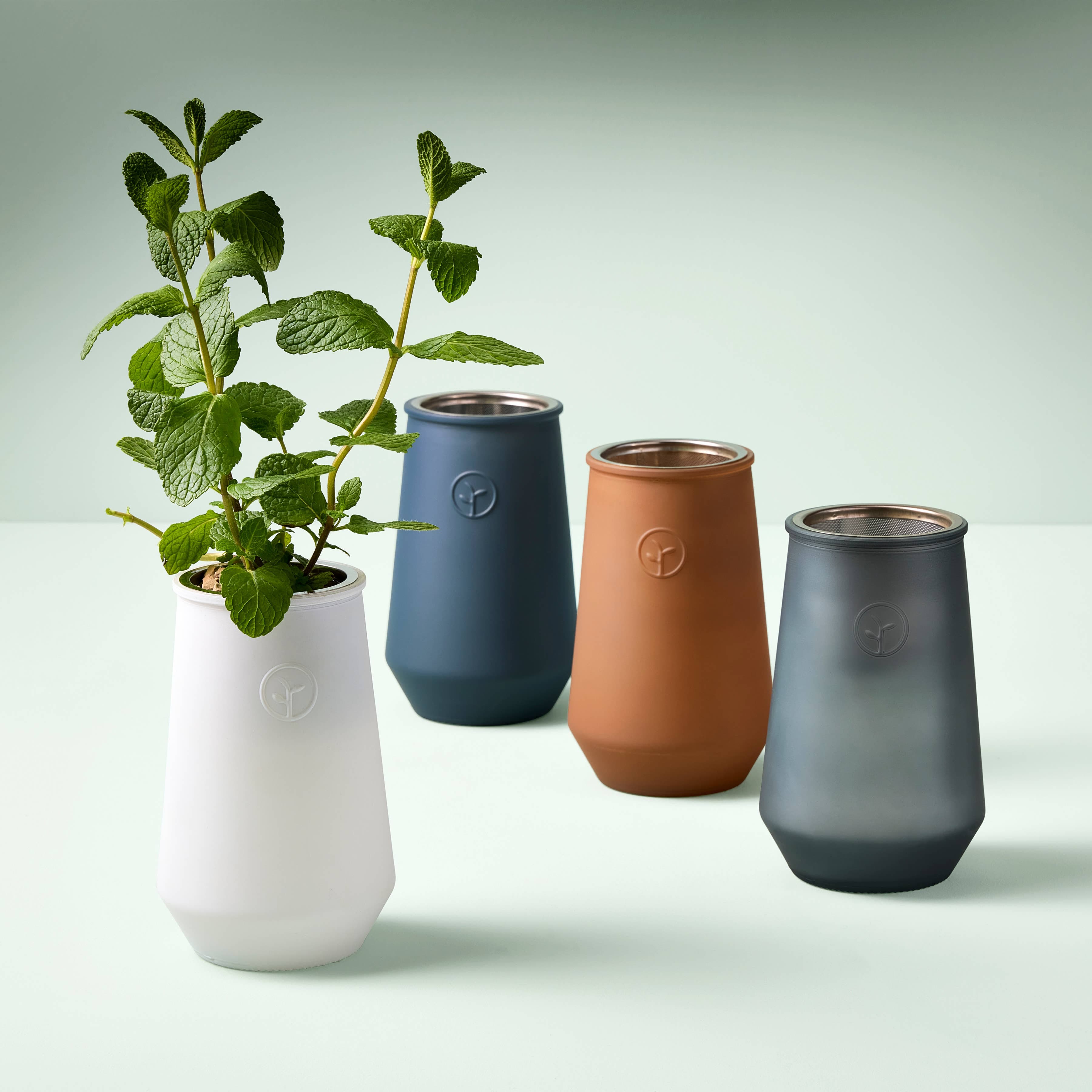 The Plant Social Tapered Tumbler Grow Kit available in Joshua Tree at JT Trading Post