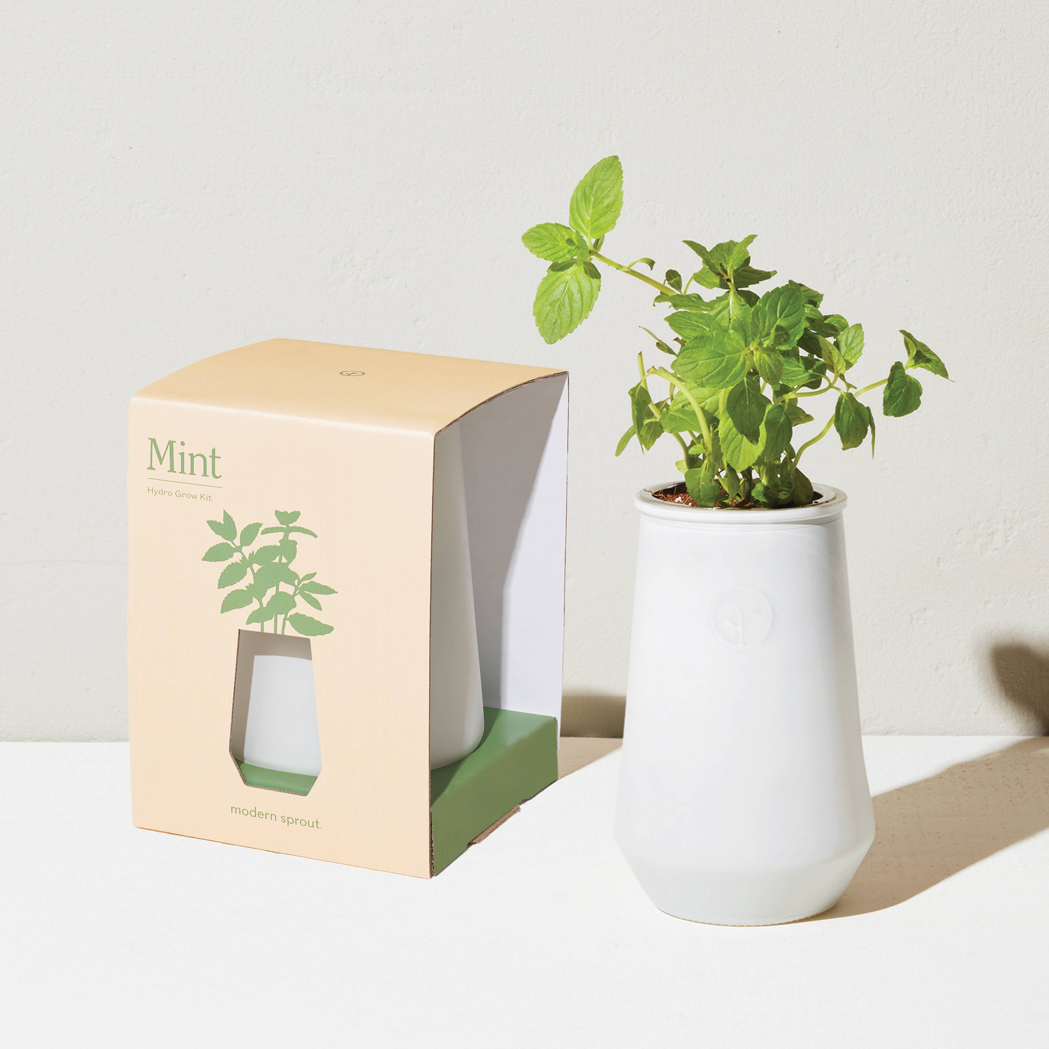 The Plant Social Tapered Tumbler Grow Kit available in Joshua Tree at JT Trading Post