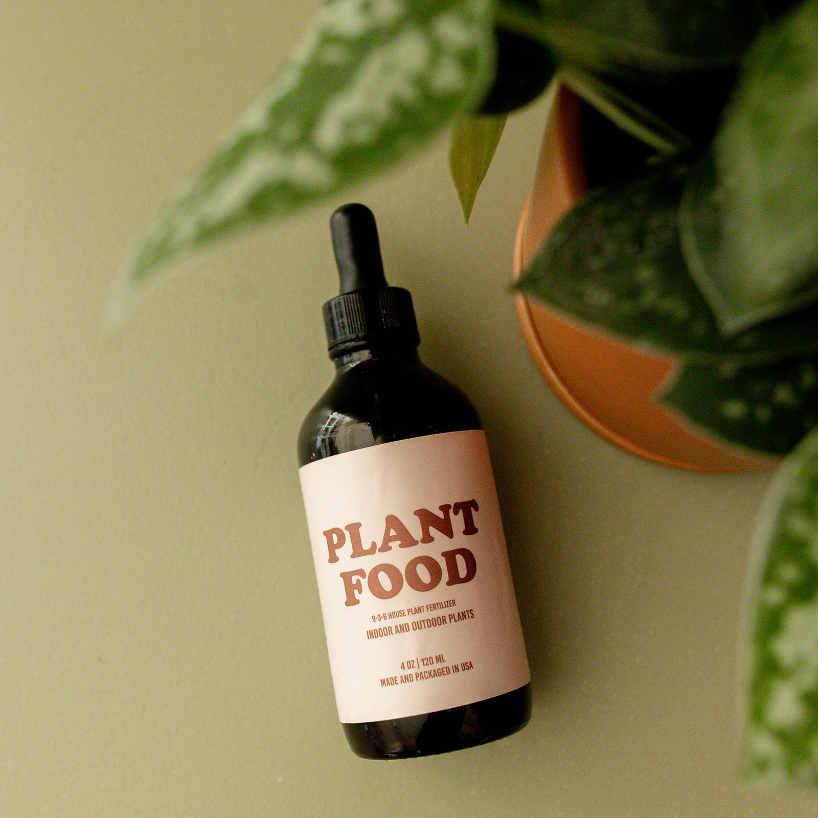 The Plant Social Plant Food available in Joshua Tree at JT Trading Post