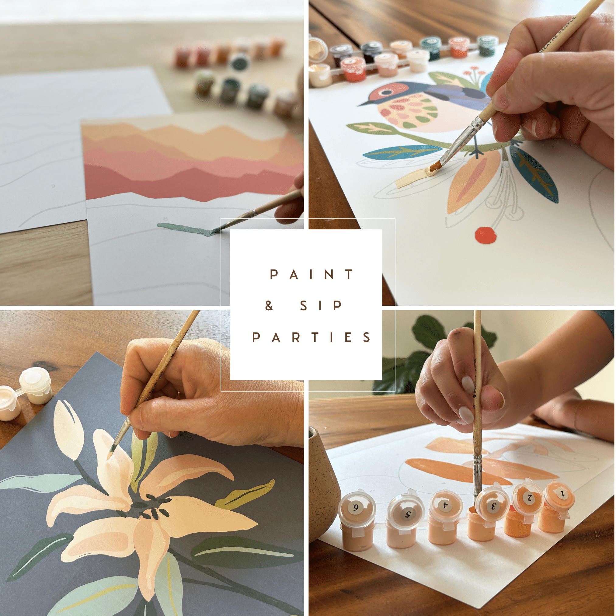 The Plant Social Zen Desert Meditative Art Paint by Number Kit + Easel