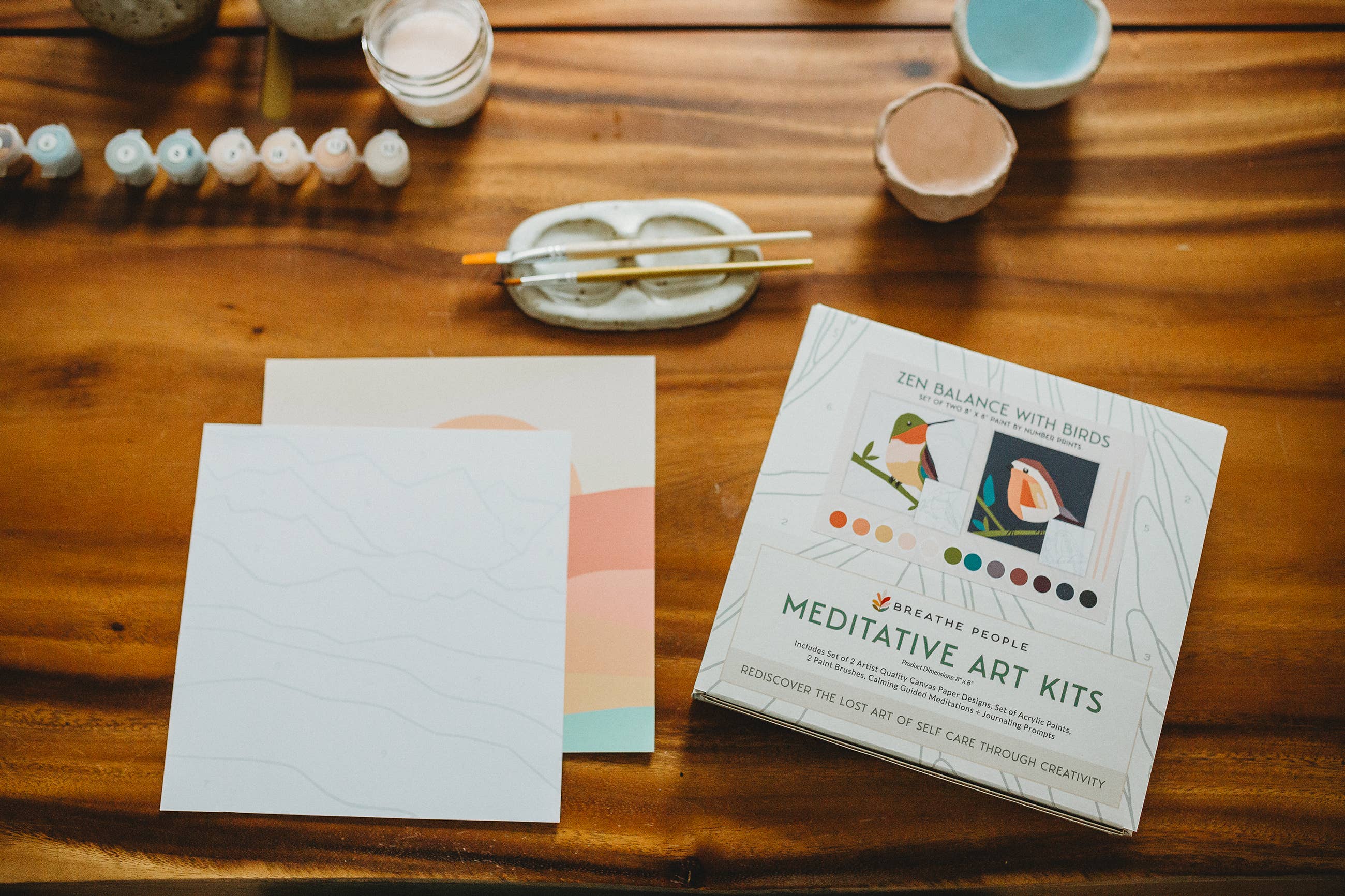 The Plant Social Zen Desert Meditative Art Paint by Number Kit + Easel
