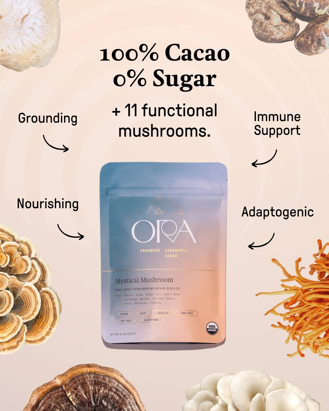 Tierra Magia Mystical Mushroom Cacao - Organic Ceremonial Chocolate