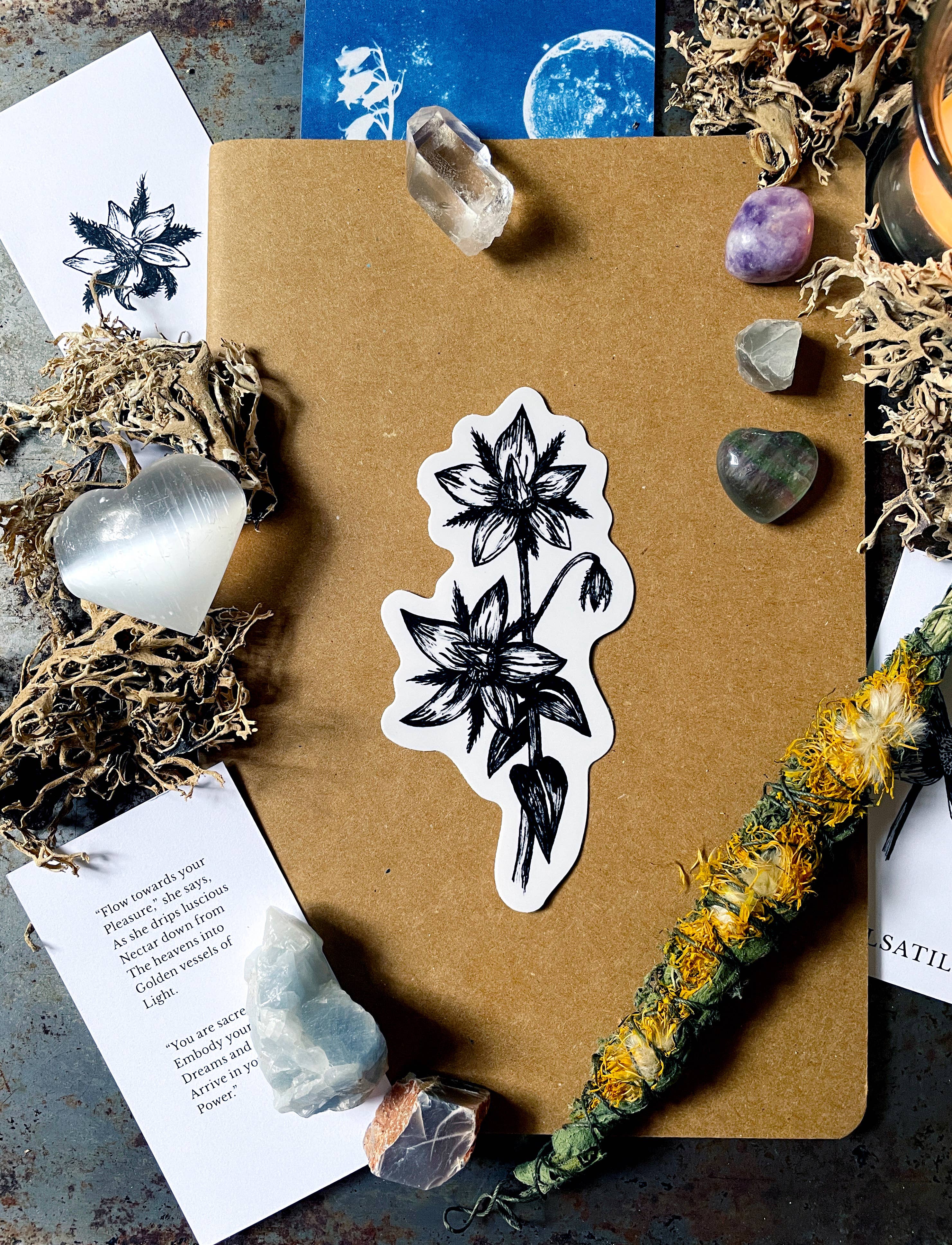 Tierra Magia Borage Flower Vinyl Sticker available in Joshua Tree at JT Trading Post