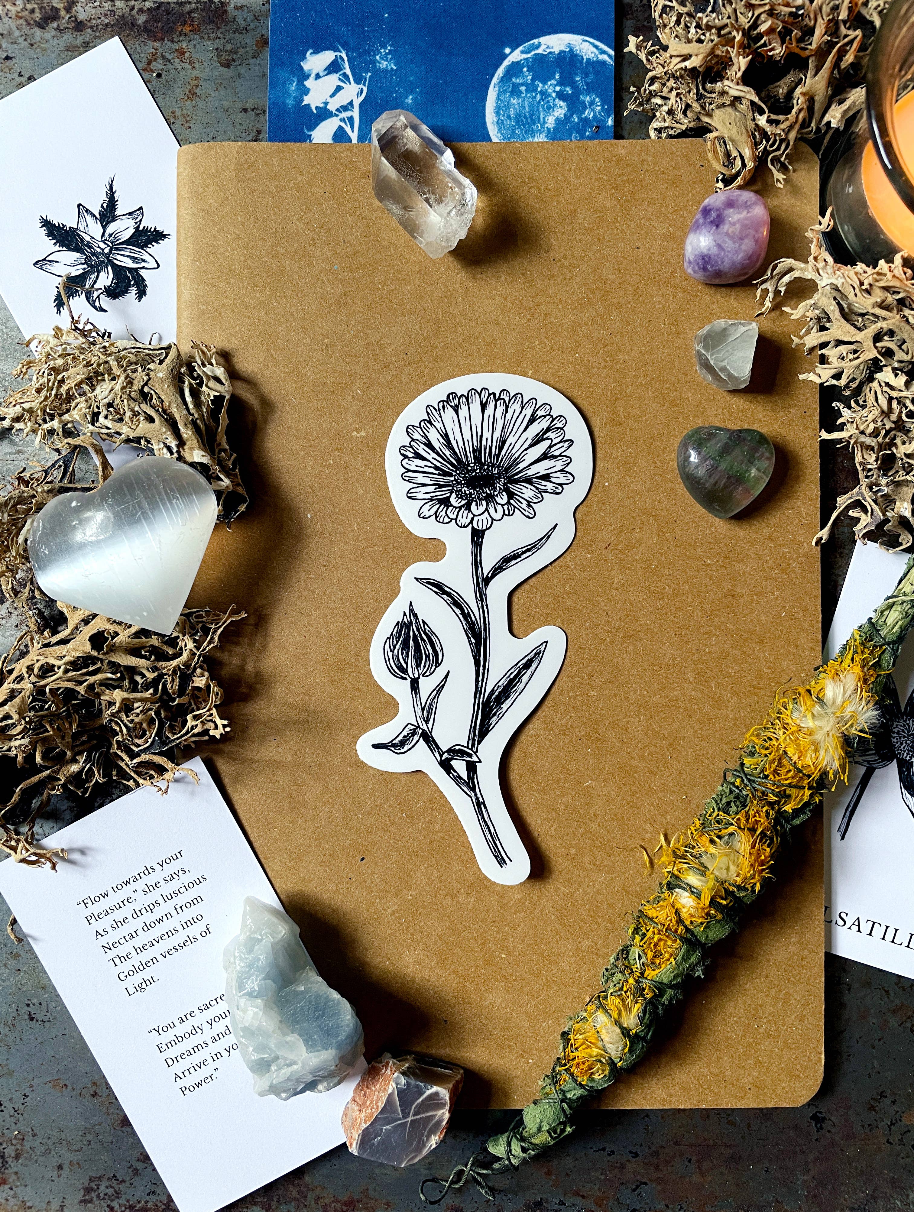 Tierra Magia Calendula Flower Vinyl Sticker