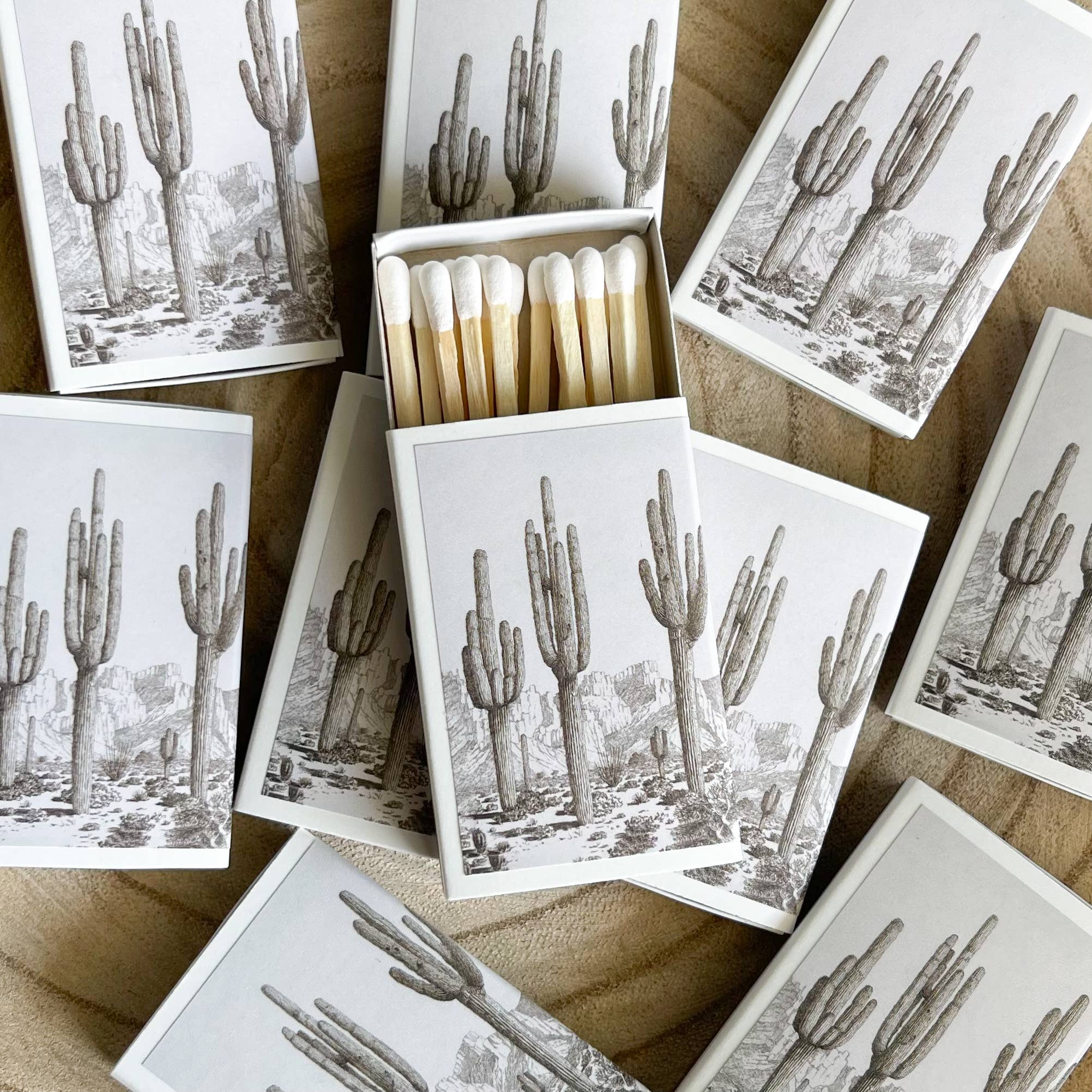 Tierra Magia Desert Cactus Match Set // Vintage Landscape