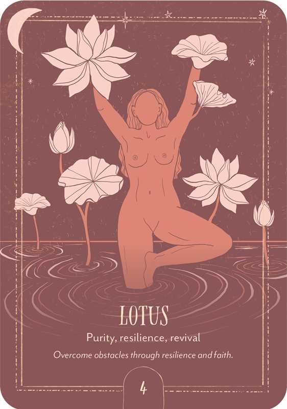 Tierra Magia Earth Song Oracle by Tarn  Ellis available in Joshua Tree at JT Trading Post