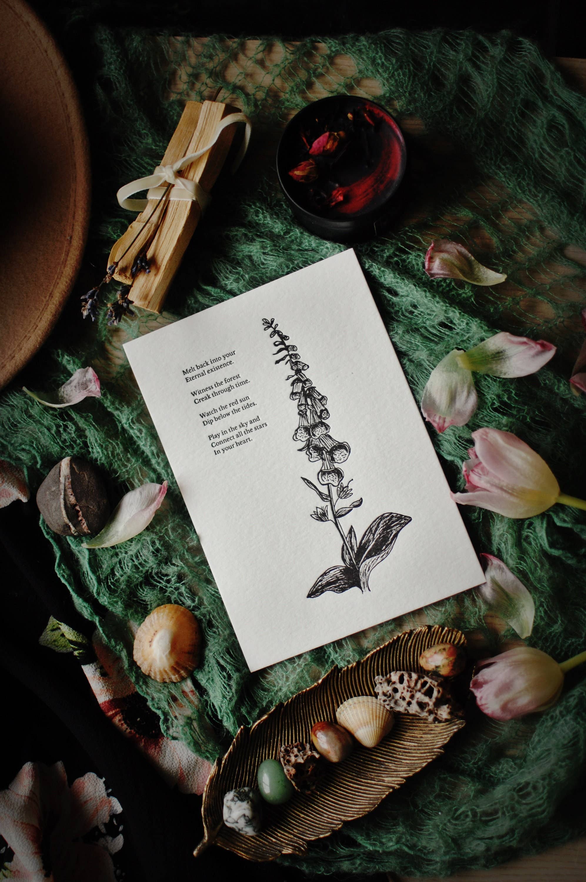 Tierra Magia Foxglove Letterpress 5" x 7" Print