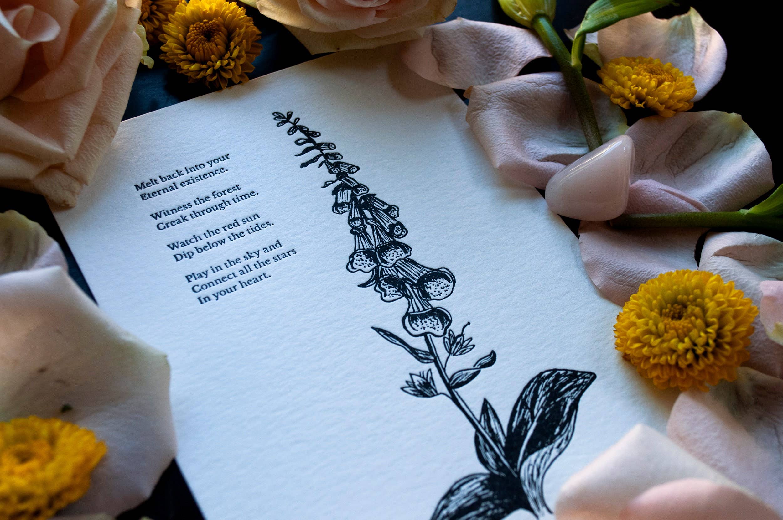 Tierra Magia Foxglove Letterpress 5" x 7" Print