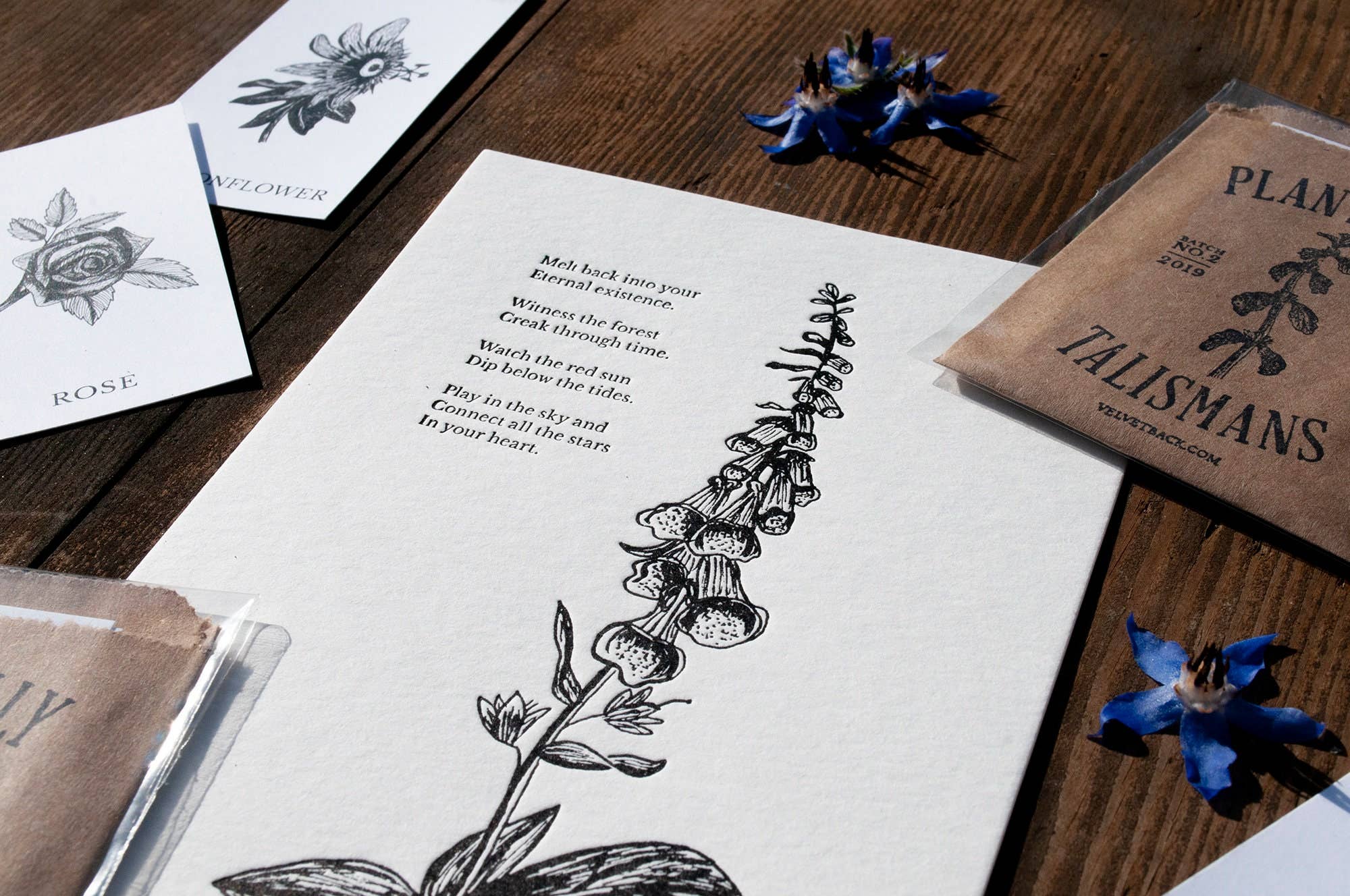 Tierra Magia Foxglove Letterpress 5" x 7" Print
