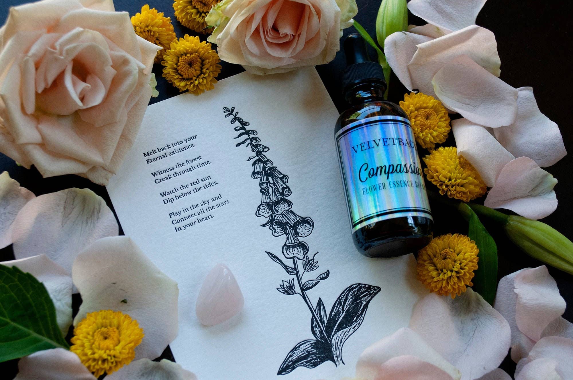 Tierra Magia Foxglove Letterpress 5" x 7" Print available in Joshua Tree at JT Trading Post