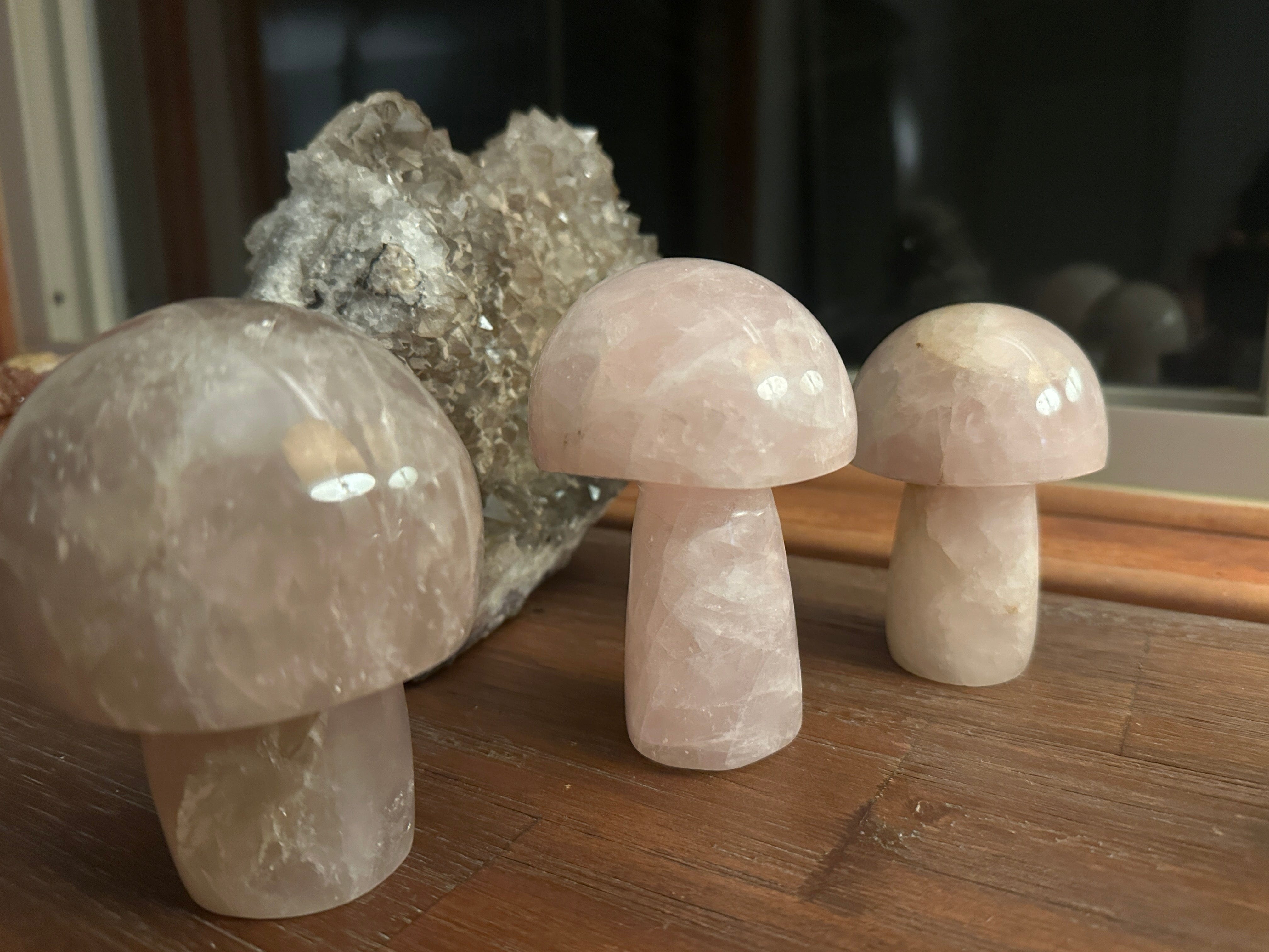 Tierra Magia Mushroom Crystals
