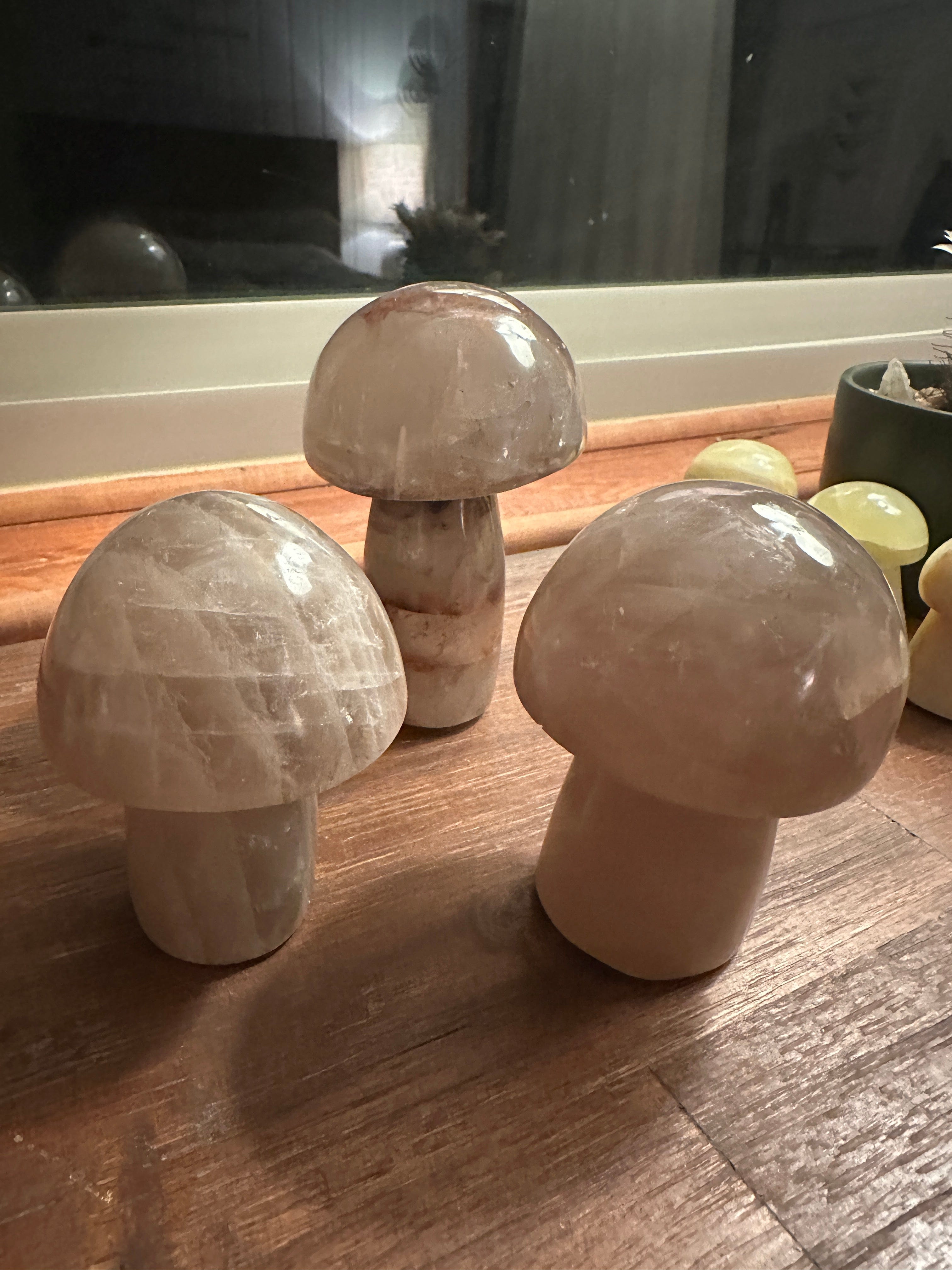 Tierra Magia Mushroom Crystals