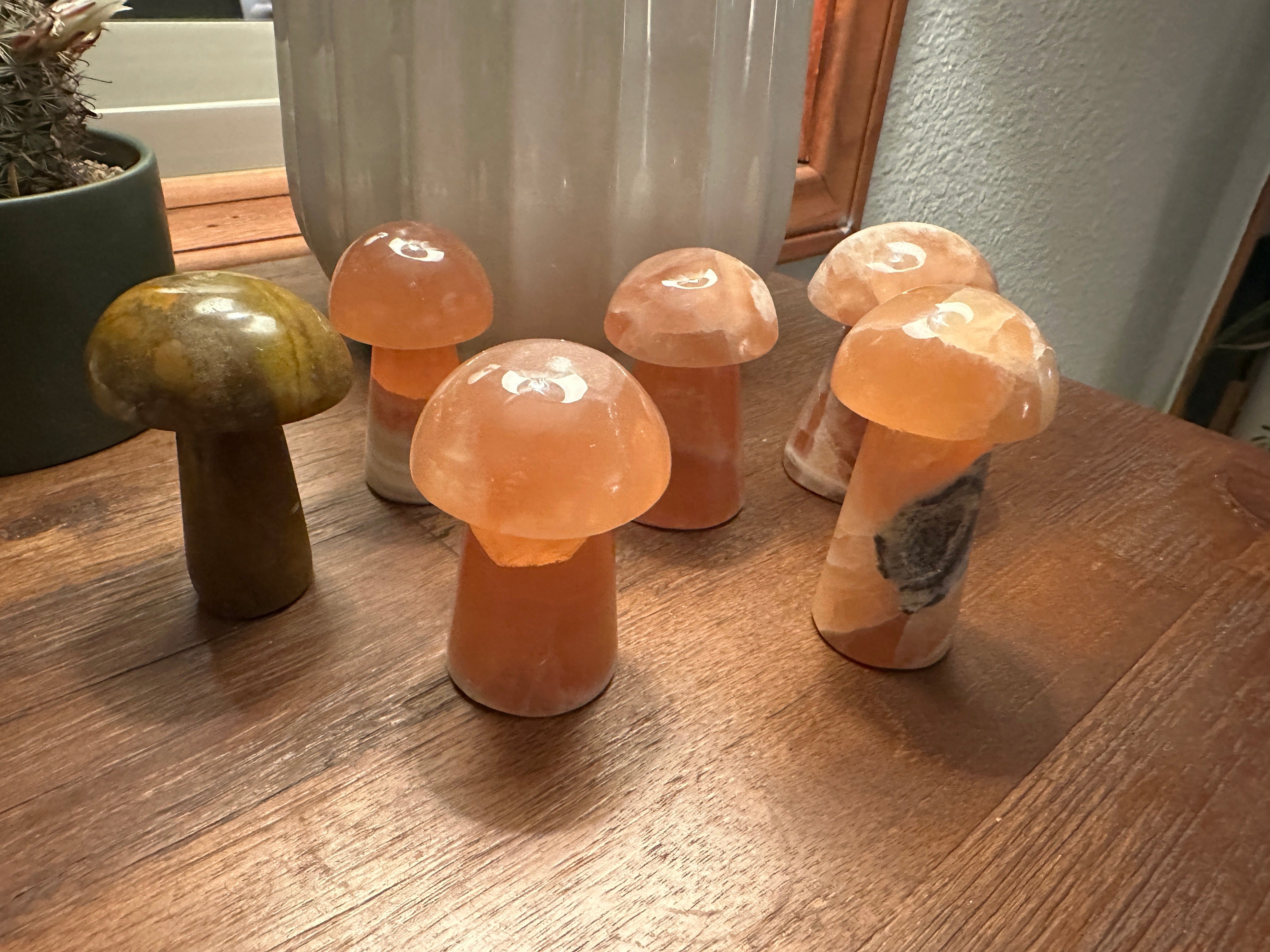 Tierra Magia Mushroom Crystals