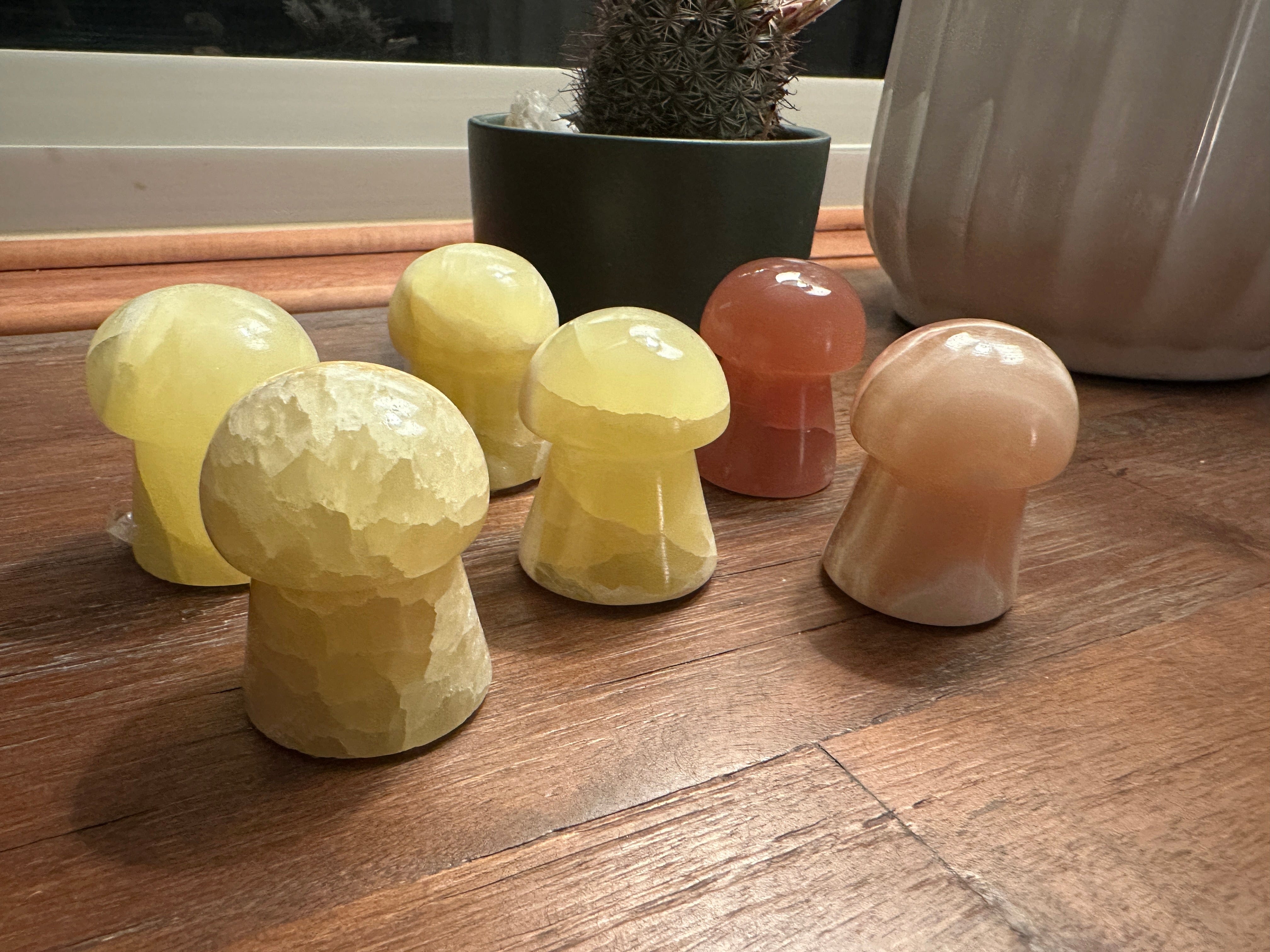 Tierra Magia Mushroom Crystals