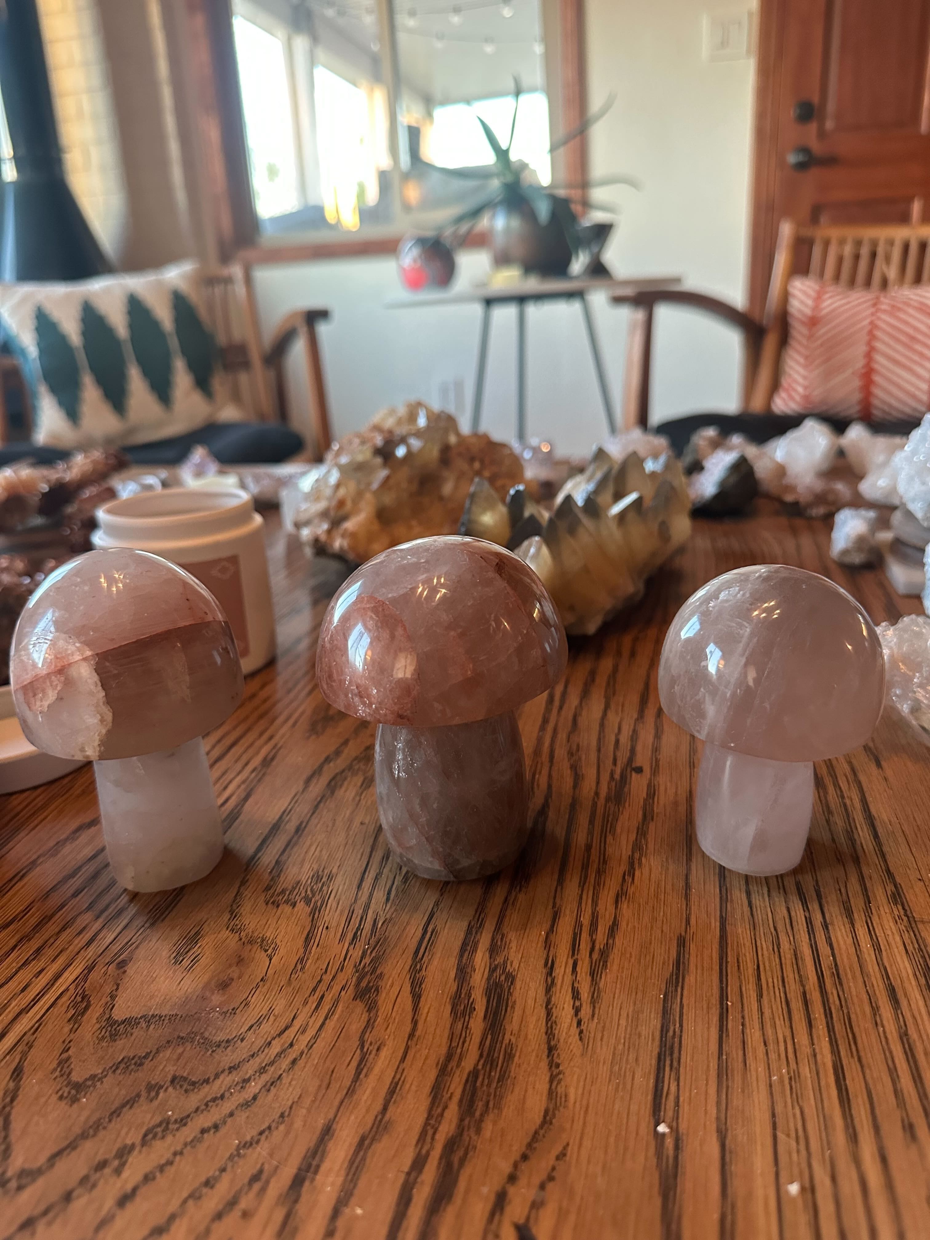 Tierra Magia Mushroom Crystals