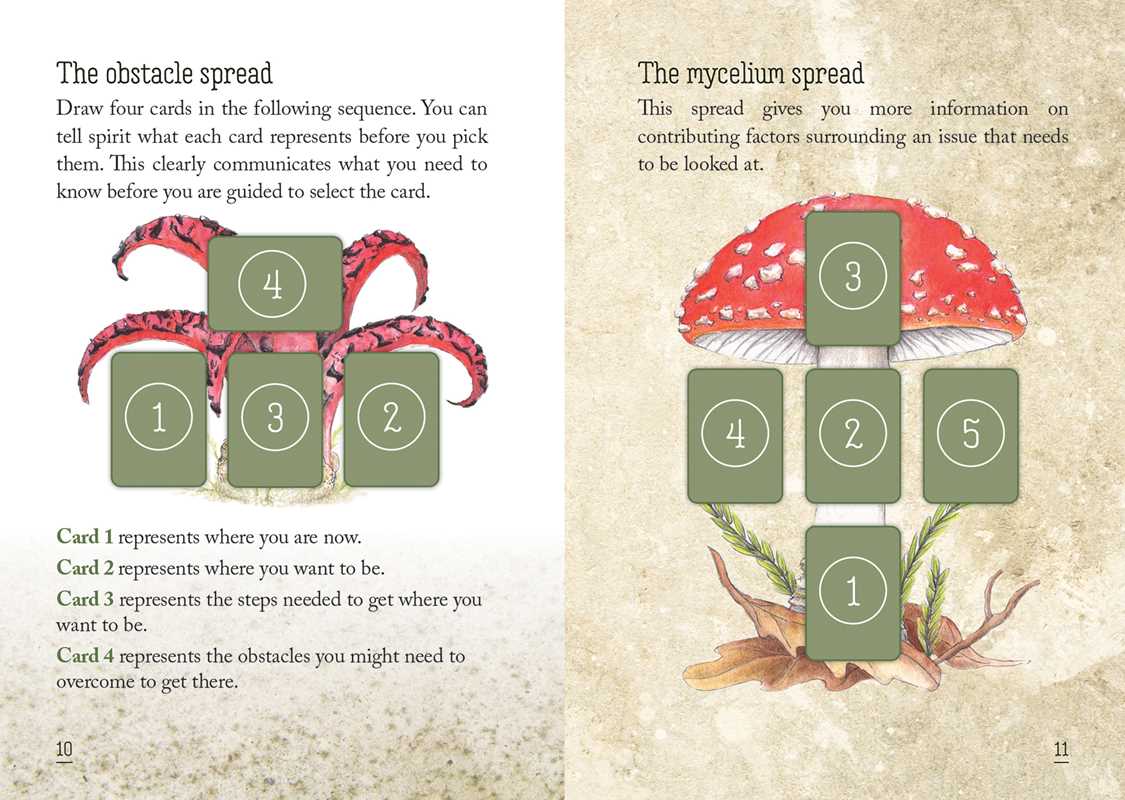 Tierra Magia Mushroom Spirit Oracle by Nicola McIntosh
