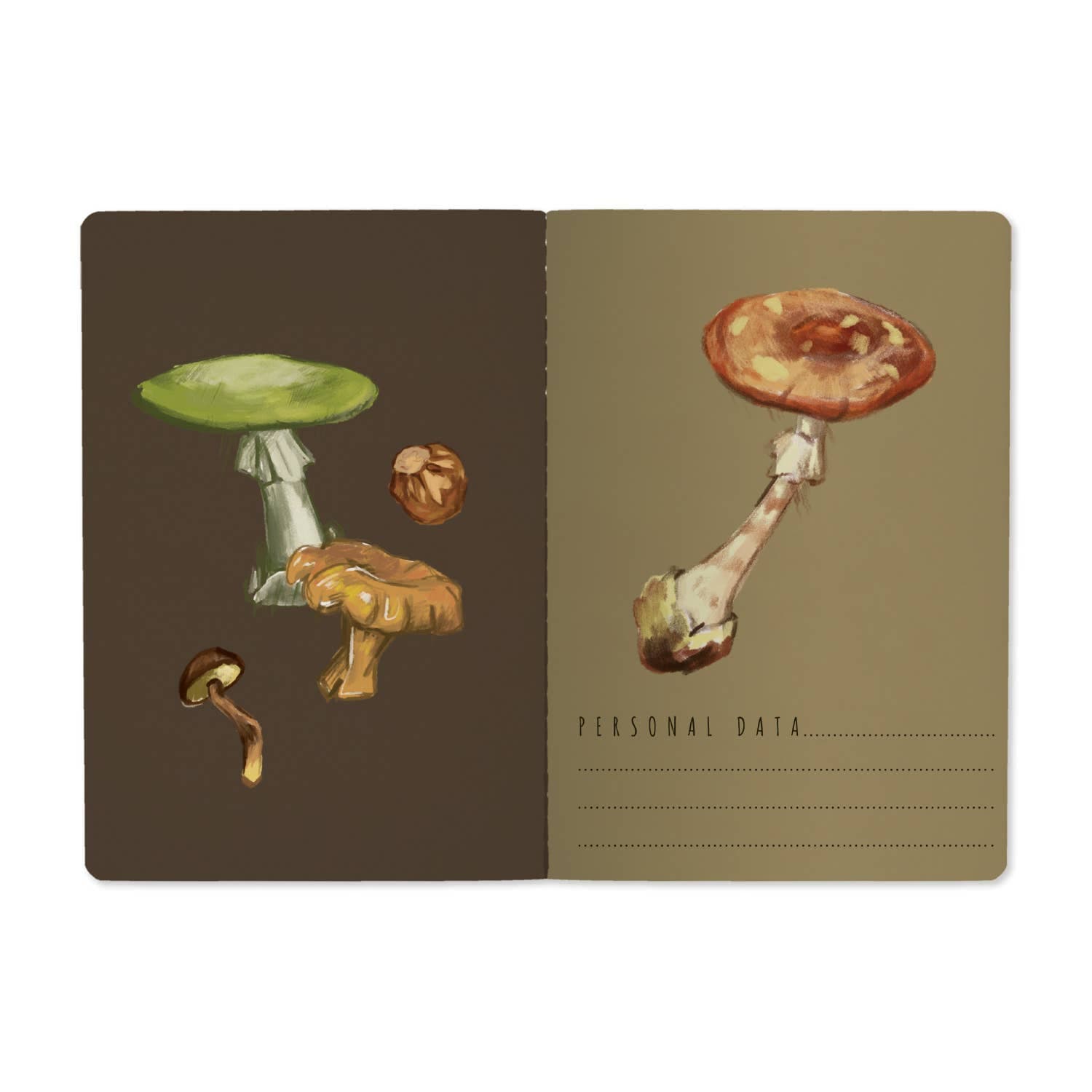 Tierra Magia Mushrooms on Black 