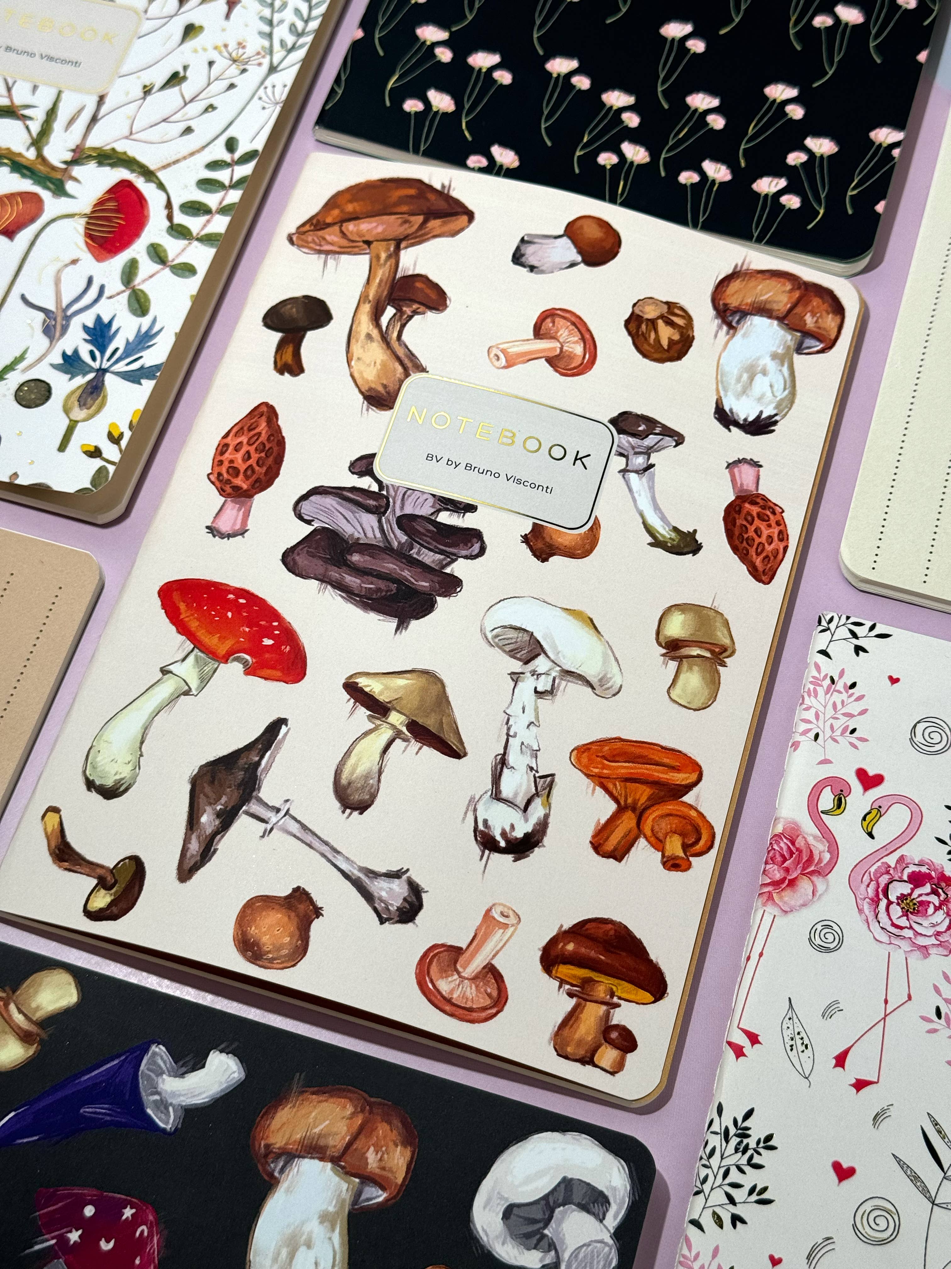 Tierra Magia Mushrooms on White 